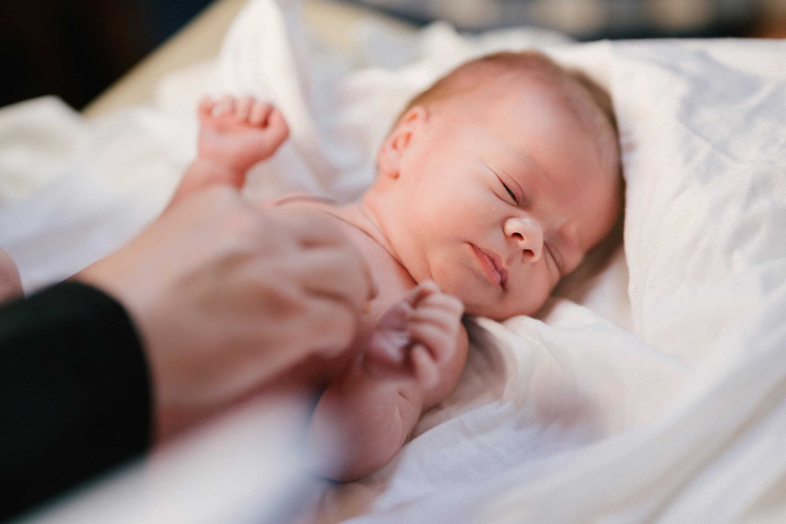 botez Luca Nectarie 22 februarie 2026 fotograf profesionist	•	fotograf botez Botoșani Luca Nectarie biserică	•	părinți Răzvan și Ramona botez copil emoții familie	•	nași Marin și Rodica botez copil fotografie profesională	•	detalii botez lumânare cristelniță biserică România	•	copil Luca Nectarie în brațe la botez moment emoționant	•	familie fericită la botez copil fotograf Alin Chirilă	•	fotografie botez naturală lumină caldă biserică	•	portret copil botez Luca Nectarie fotograf profesionist	•	momente autentice botez România familie și nași	•	slujbă botez copil imagini emoționante biserică	•	fotograf botez Iași și Botoșani Alin Chirilă - nunta--fotograf-profesionist-botosani  - fotografie-nunta-romantica - imagini-nunta-in-natura-alin-chirila-fotograf  - fotografii-cuplu-indragostit-nunta-botosani  - sedinta-foto-miri-andrei-iustina-alinofotostudio  - amintiri-din-nunta-realizate-de-fotograf-profesionist  - povestea-nuntii-andrei-si-iustina-in-imagini-alinofotostudio-fotograf evenimente- evenimente Botoșani -fotograf Suceava - fotograf Iași- servicii foto. servicii foto Botoșani. servicii foto video Botoșani. otograf-nunta-botosani-fotograf nunta. fotograf evenimente. fotograf nunta Botoșani. Alin chirila. Alin chirila fotograf. Alinofotostudio.- servicii foto. servicii foto Botoșani. servicii foto video Botoșani. fotograf nunta. fotograf evenimente. fotograf nunta Botoșani. Alin chirila. Alin chirila fotograf. Alinofotostudio.fotograf stare civilă,poze stare civilă,album foto stare civilă,servicii foto suceava,fotograf evenimente suceava,fotograf nuntă suceava,poze cununie civilă,ședință foto stare civilă,sesiune foto suceava,fotograf profesionist suceava,fotograf botosani,stare civila botosani,alinofotostudio,alin chirila fotograf.servicii foto. servicii foto Botoșani. servicii foto video Botoșani. fotograf nunta. fotograf evenimente. fotograf nunta Botoșani. Alin chirila. Alin chirila fotograf. Alinofotostudio.fotograf stare civilă,poze stare civilă,album foto stare civilă,servicii foto suceava,fotograf evenimente suceava,fotograf nuntă suceava,poze cununie civilă,ședință foto stare civilă,sesiune foto suceava,fotograf profesionist suceava,fotograf botosani,stare civila povestitor prin fotografiebotosani,alinofotostudio,alin chirila fotograf,servicii foto. servicii foto Botoșani. servicii foto video Botoșani. fotograf nunta. fotograf evenimente. fotograf nunta Botoșani. Alin chirila. Alin chirila fotograf. Alinofotostudio.fotograf stare civilă,poze stare civilă,album foto stare civilă,servicii foto suceava,fotograf evenimente suceava,fotograf nuntă suceava,poze cununie civilă,ședință foto stare civilă,sesiune foto suceava,fotograf profesionist suceava,fotograf botosani,stare civila botosani,alinofotostudio,alin chirila fotograf,cununie religioasă botoșani,andreea și neculai,capela militară botoșani,foto conacul zăicești,fotograf nuntă botoșani,fotograf cununie religioasă,foto evenimente botoșani,poze cununie capela militară,ședință foto zăicești,fotograf profesionist botoșaniMire și mireasă – Sergiu & Liliana – ziua nunții, 2024  - Emoții în ziua nunții – Sergiu și Liliana  - Dansul mirilor – fotografie artistică nuntă 2024  - Sedinta foto romantică în natură – Sergiu & Liliana  - Rochia de mireasă și detalii de nuntă elegan-Album de cununie civilă Florin și Anda – Fotografii profesionale realizate de Alin Chirilă în Botoșani -fotograf prin fotografie-Ședință foto Trash the Dress pe muntele Rarău cu Iulian și Iuliana – fotografie de cuplu, natură montană, emoție autentică surprinsă de Alin Chirilă, povestitor prin fotografie.- "Iulian și Iuliana pe crestele Rarăului – fotografie Trash the Dress în natură"  - "Cuplu îmbrățișat la apus pe muntele Rarău – ședință foto după nuntă"  - "Rochie de mireasă în vânt pe munte – Trash the Dress Rarău-1. Iulian și Iuliana pe muntele Rarău – ședință foto Trash the Dress în natură, cu peisaj montan spectaculos  2. Cuplu în îmbrățișare pe Rarău – emoție autentică surprinsă după nuntă  3. Rochie de mireasă în bătaia vântului – fotografie artistică Trash the Dress în munți  4. Mire și mireasă privind spre orizont – dragoste și libertate pe muntele Rarău  5. Iuliana zâmbind în rochia de mireasă – portret în natură, Trash the Dress  6. Iulian ținându-și mireasa de mână – ședință foto romantică pe munte  7. Detaliu cu rochia pe stâncă – estetică naturală Trash the Dress Rarău  8. Cuplu în mers pe poteca Rarăului – fotografie simbolică de după nuntă  9. Apus de soare pe Rarău în spatele mirilor – imagine de poveste Trash the Dress  10. Iulian și Iuliana râzând împreună – momente autentice surprinse de Alin Chirilă, povestitor prin fotografie-fotograf-nunta-cerbu-botosan trash-the-dress-botosani Alin Chirilă Fotograf – fotograf de nuntă Botoșani-fotograf nuntă Botoșani-fotograf nuntă Cerbu Botoșani-fotograf profesionist nuntă Botoșani-fotografie de nuntă Botoșani-fotograf evenimente Botoșani-fotograf nuntă Moldova-fotograf trash the dress Botoșani	- fotograf pregătirea mirilor Botoșani	-fotograf ceremonie religioasă nuntă-fotograf petrecere nuntă Botoșani- fotograf nuntă Botoșani pregătirea mirelui- pregătirea mirelui fotografie nuntă Cerbu Botoșani-fotograf nuntă Botoșani pregătirea miresei -mireasă pregătiri nuntă Cerbu Botoșani-fotograf nuntă Botoșani nașii mirilor-ceremonie religioasă nuntă Cerbu Botoșani-fotograf nuntă Botoșani ceremonie religioasă biserică-petrecere nuntă Cerbu Botoșani invitați dans-fotograf nuntă Botoșani petrecere restaurant-ședință foto trash the dress-fotograf trash the dress Botoșani ședință foto după nuntă-Fotograf nuntă Botoșani – galerie foto reală de la evenimente stare civilă Sebi și Claudia Copălău	•	cununie civilă Primăria Copălău Botoșani	•	miri emoționați la starea civilă	•	semnarea actelor cununie civilă	•	fotografii naturale stare civilă Botoșani	•	familie și prieteni la cununie civilă	•	cadre emoționale cununie civilă	•	fotograf profesionist Botoșani eveniment stare civilă Sebi și Claudia la Primăria Copălău Botoșani fotograf evenimente	•	fotograf cununie civilă Copălău Botoșani cadre naturale și emoționale	•	fotograf profesionist Botoșani stare civilă Sebi și Claudia	•	momente autentice cununie civilă Copălău fotograf Alin Chirilă	•	fotografii emoționale stare civilă în județul Botoșani