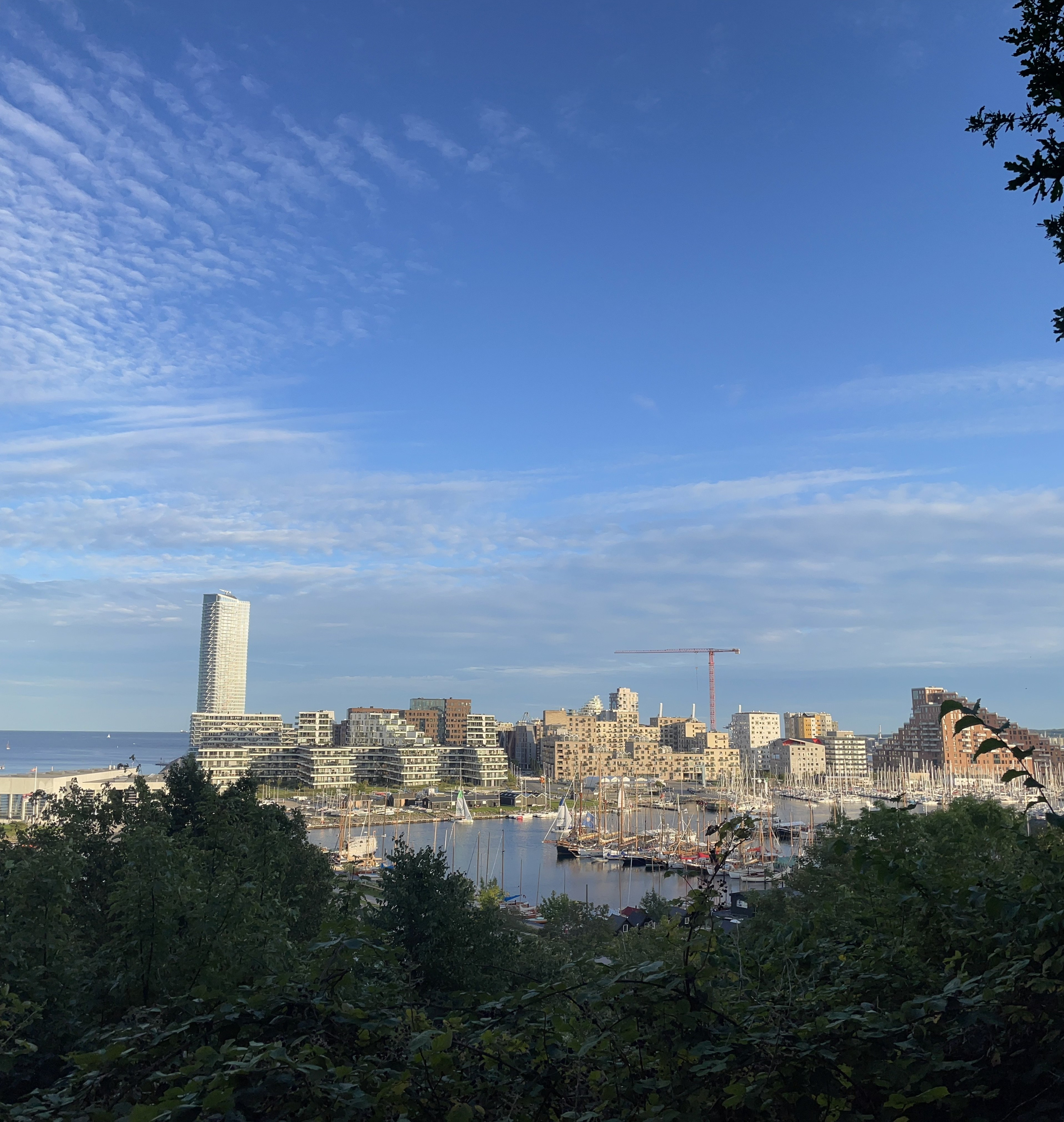 Sommer. Fotograf Aarhus | Portrætfoto Århus | Flotte billeder
