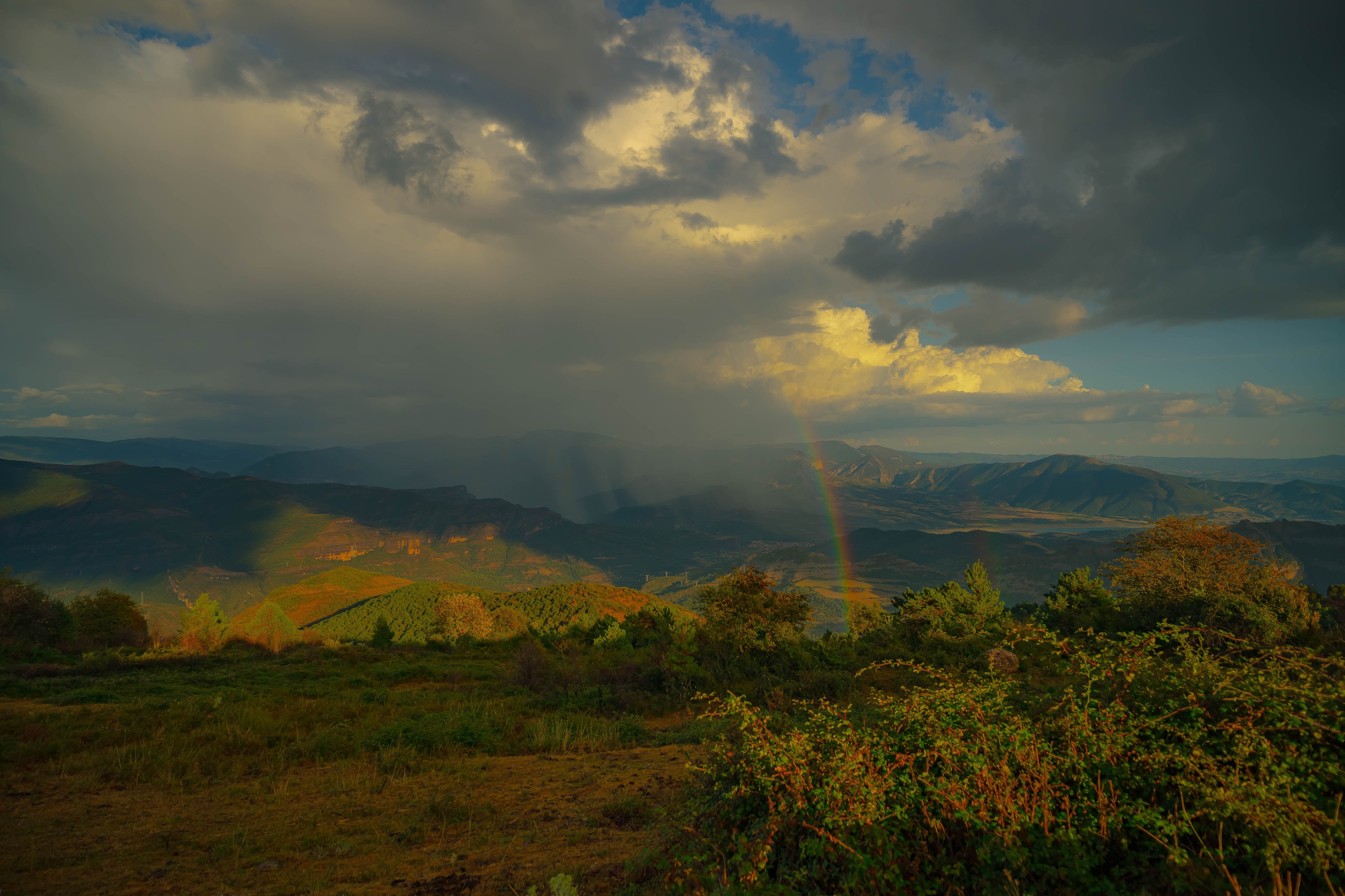 Lila. Alba del Norte Studio