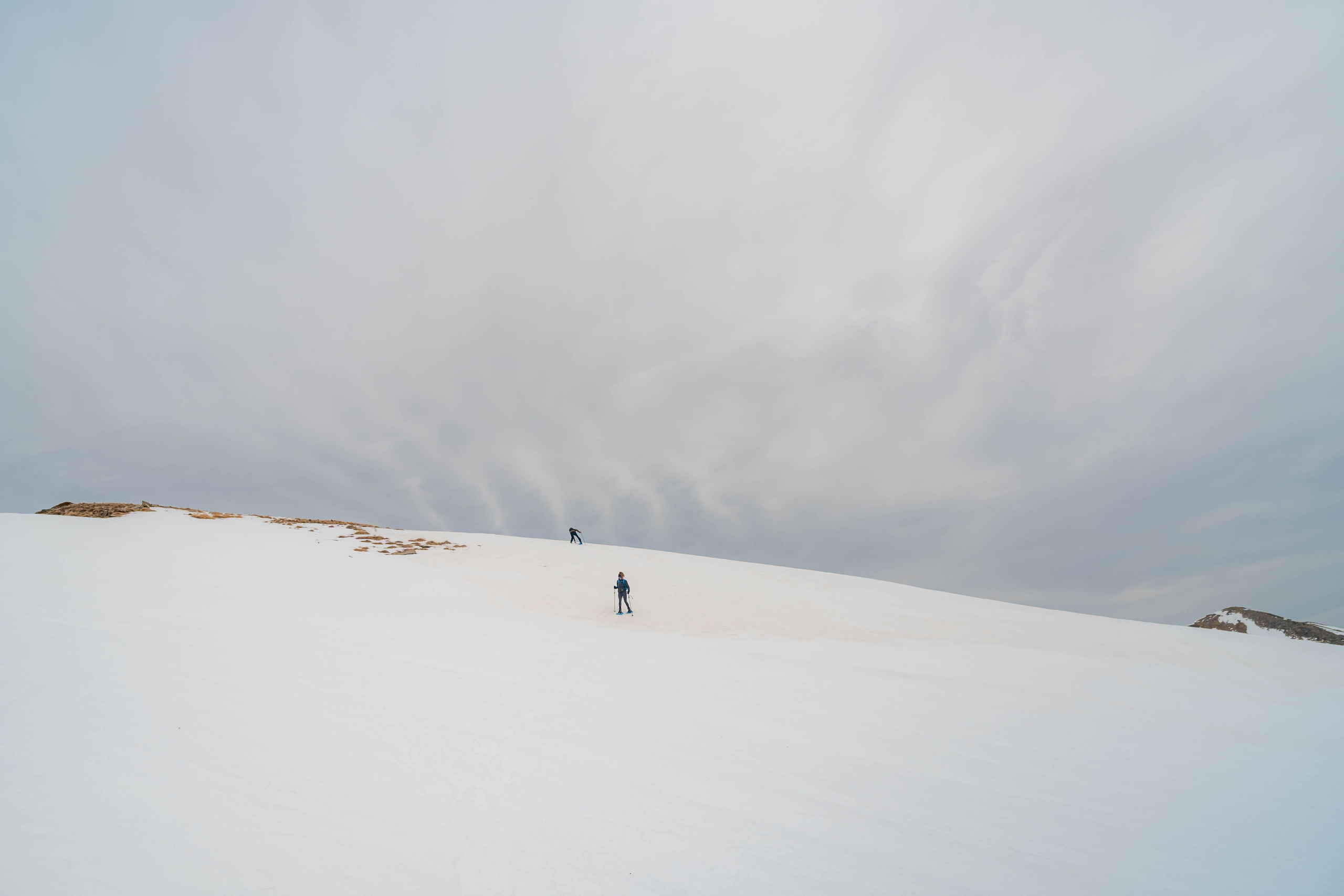 Ruta Comas de Fort. Alba del Norte Studio