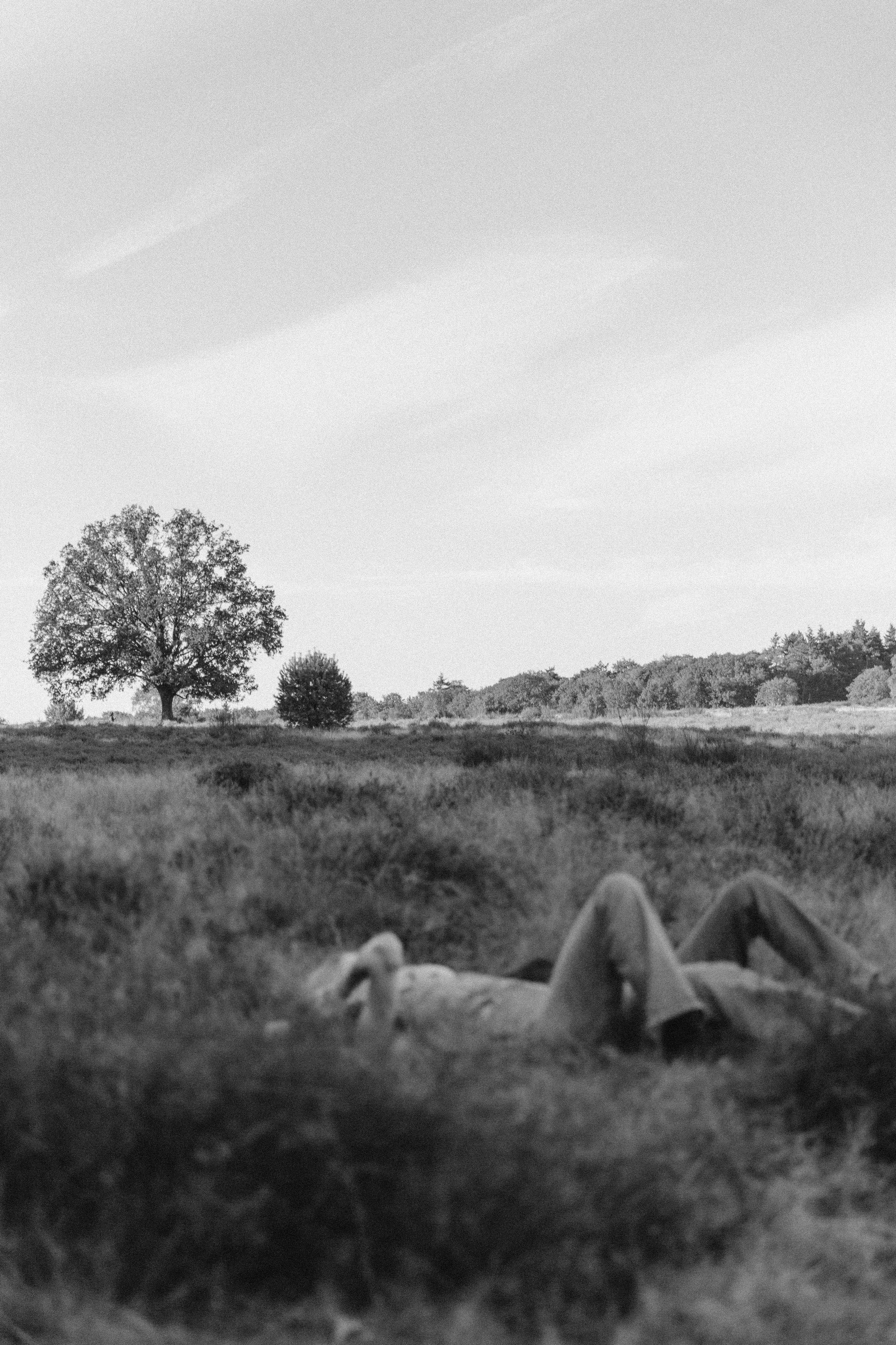 Sisters. Hilversum. True self