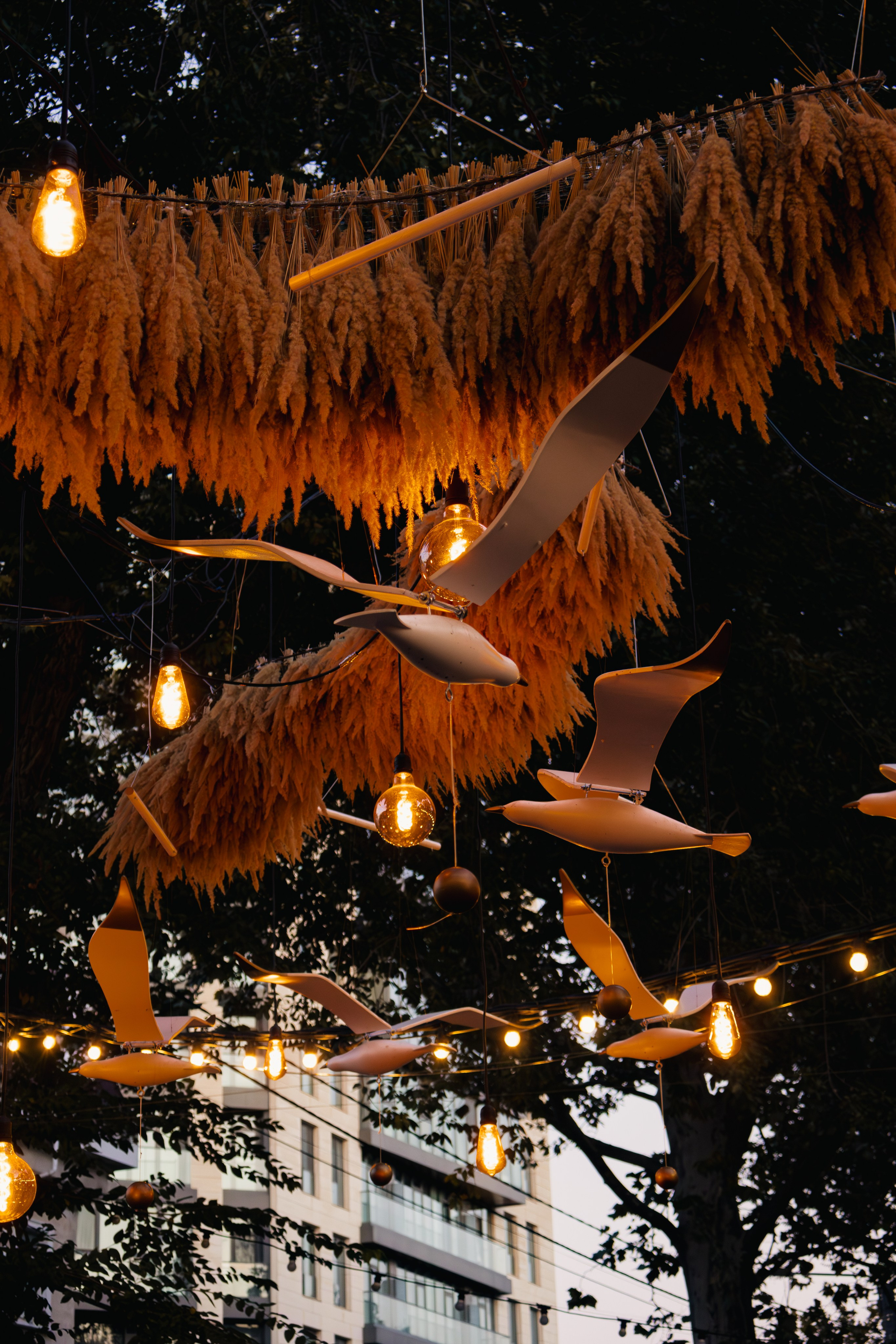 City Day Chișinău 2023. Дизайнер и Фотограф в Кишинёве Бусуйок Станислав