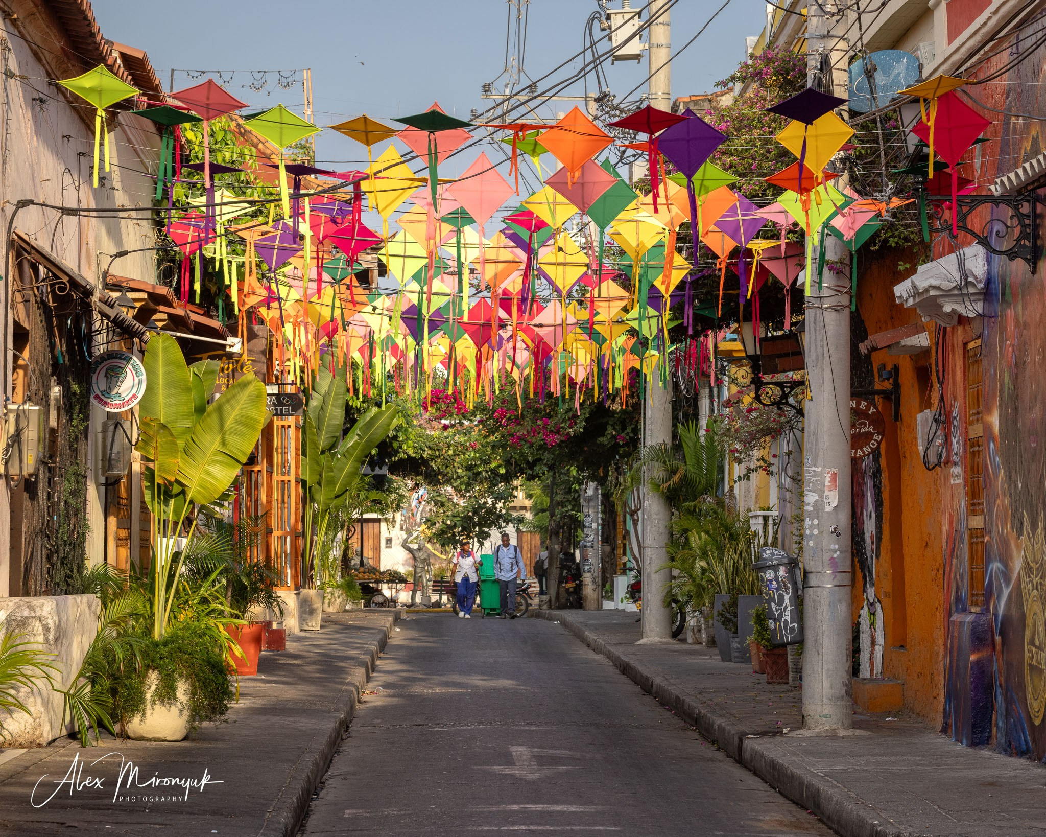 Colombia in Style. Pet, Senior, Landscape, portrait studio, photographer in Miami and Sou