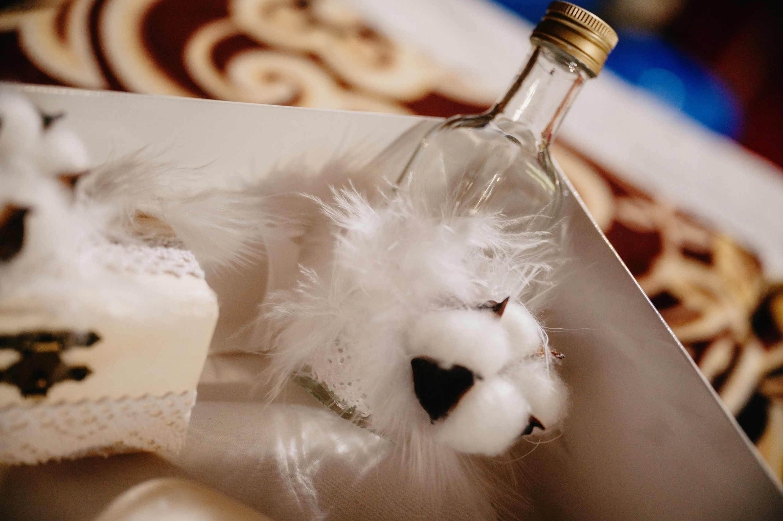 BOTEZ Ana Natasha. Laurentiu Stefan StoryTeller