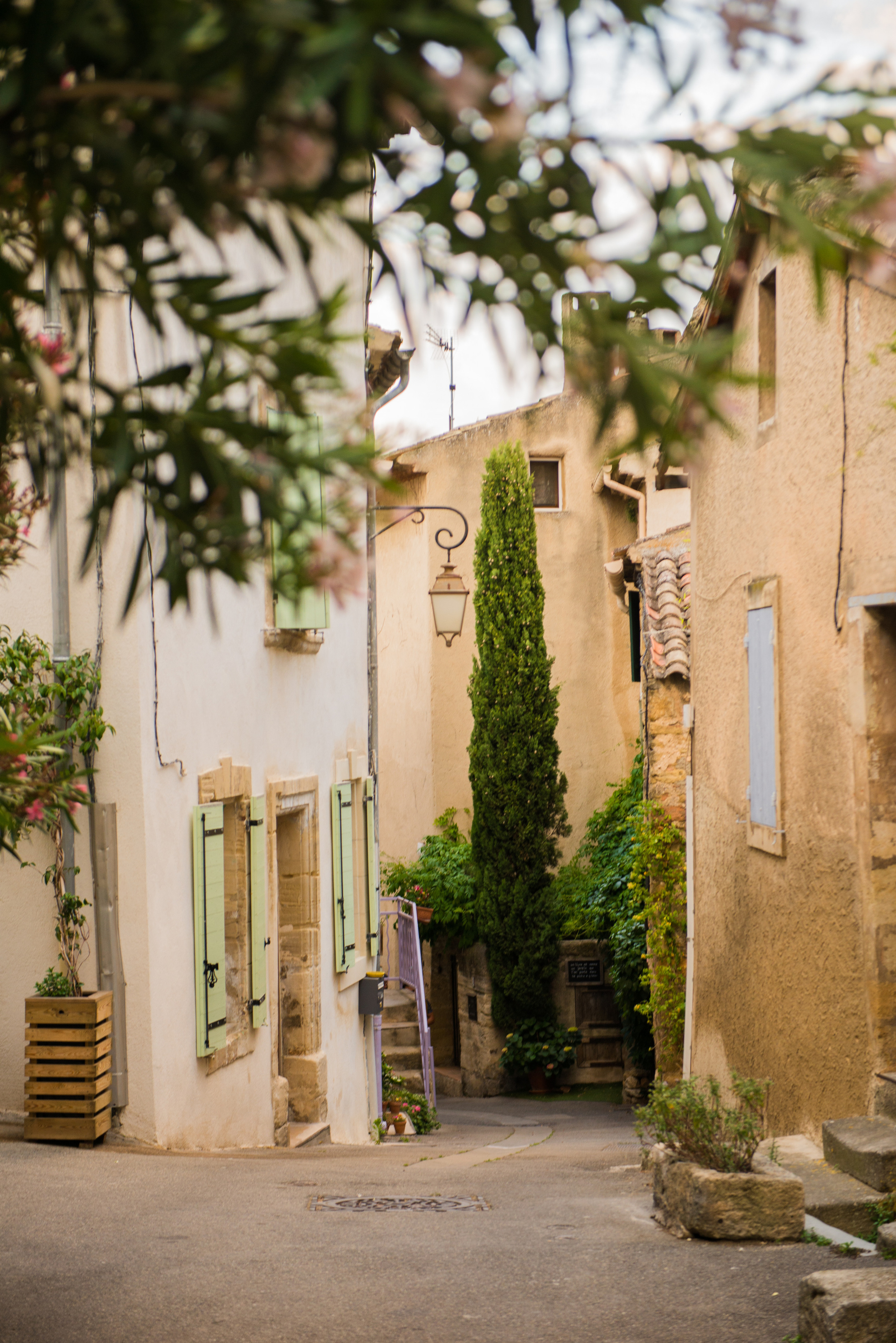 Лаванда и Прованс. Свадебный и семейный фотограф в Марселе и Провансе. Elvira Tabisheva