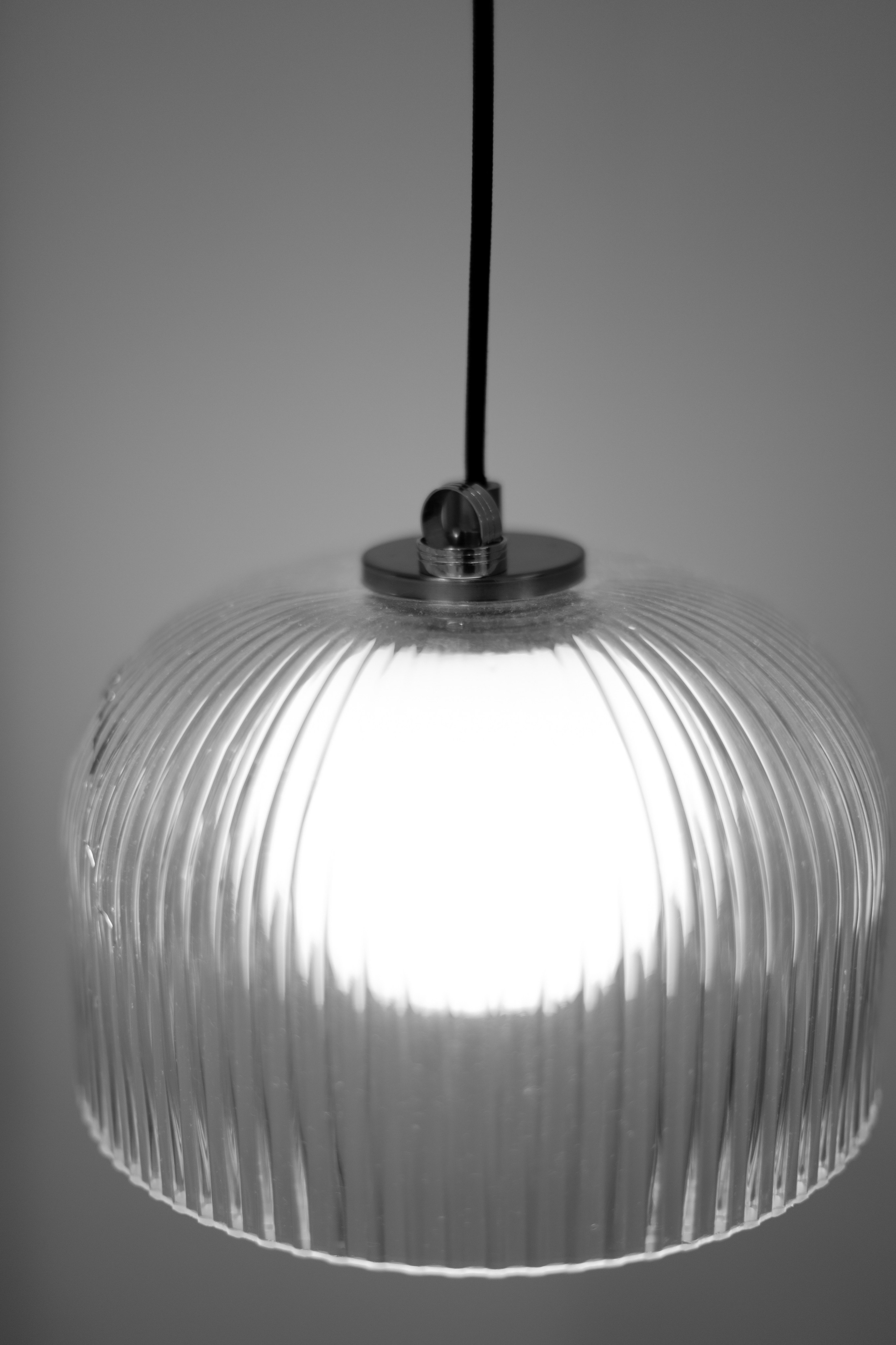 Jailson e Patricia. Bem-vindo ao Meu Mundo Fotográfico