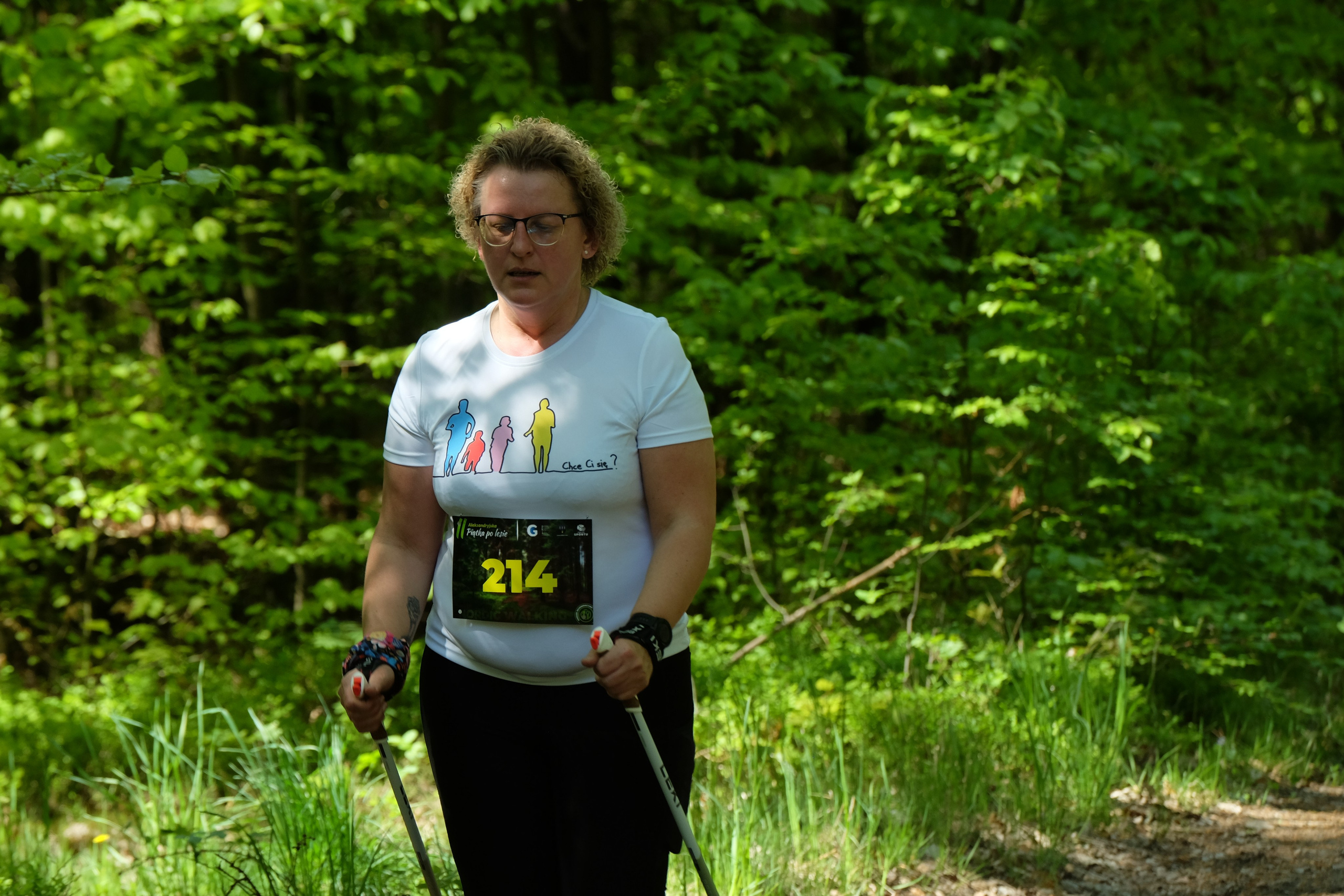 Aleksandryjska Piątka po lesie. Main