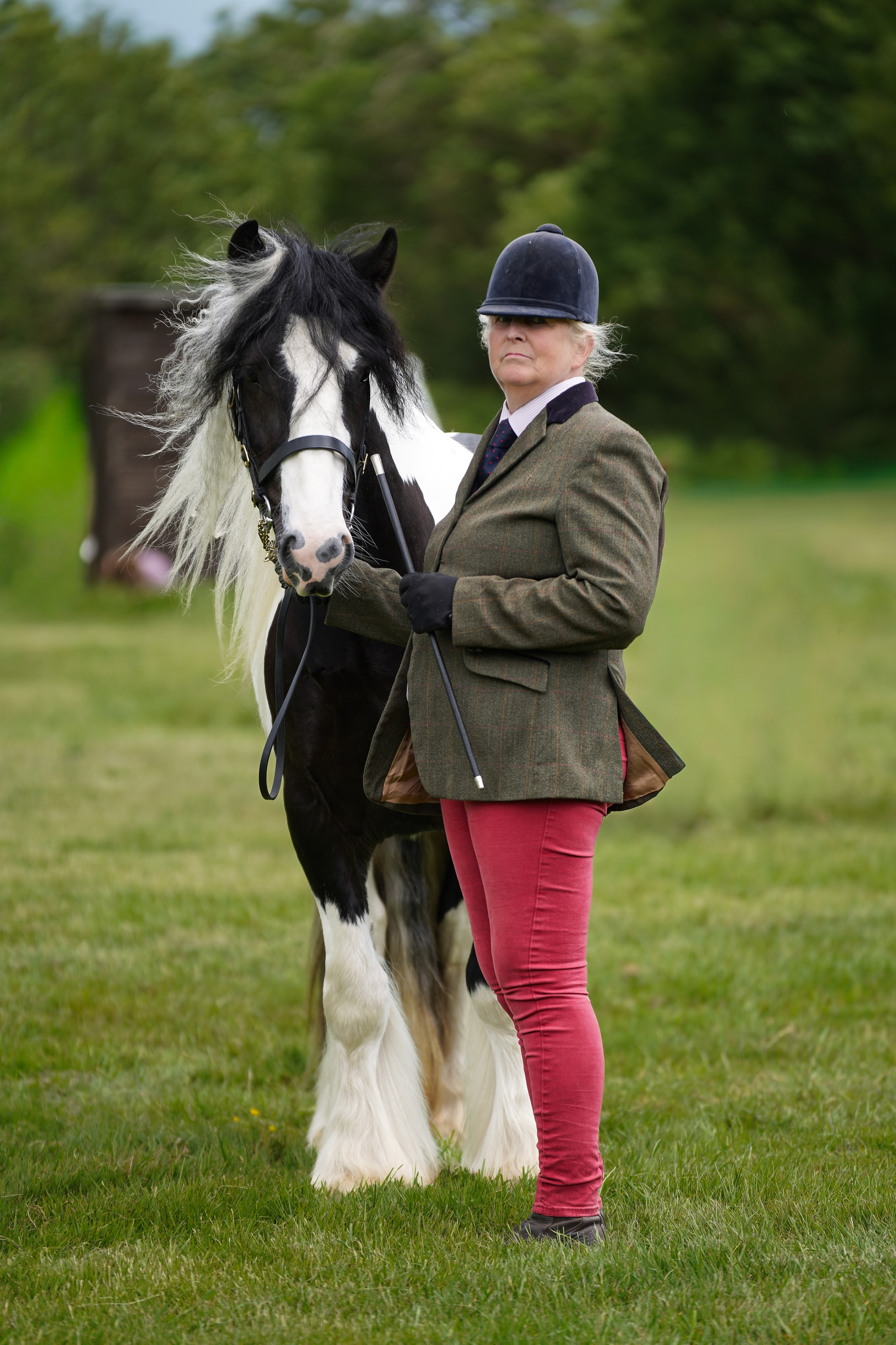 Showing. Leicestershire Equine Photography by El | Authentic Equine Portraits & Events