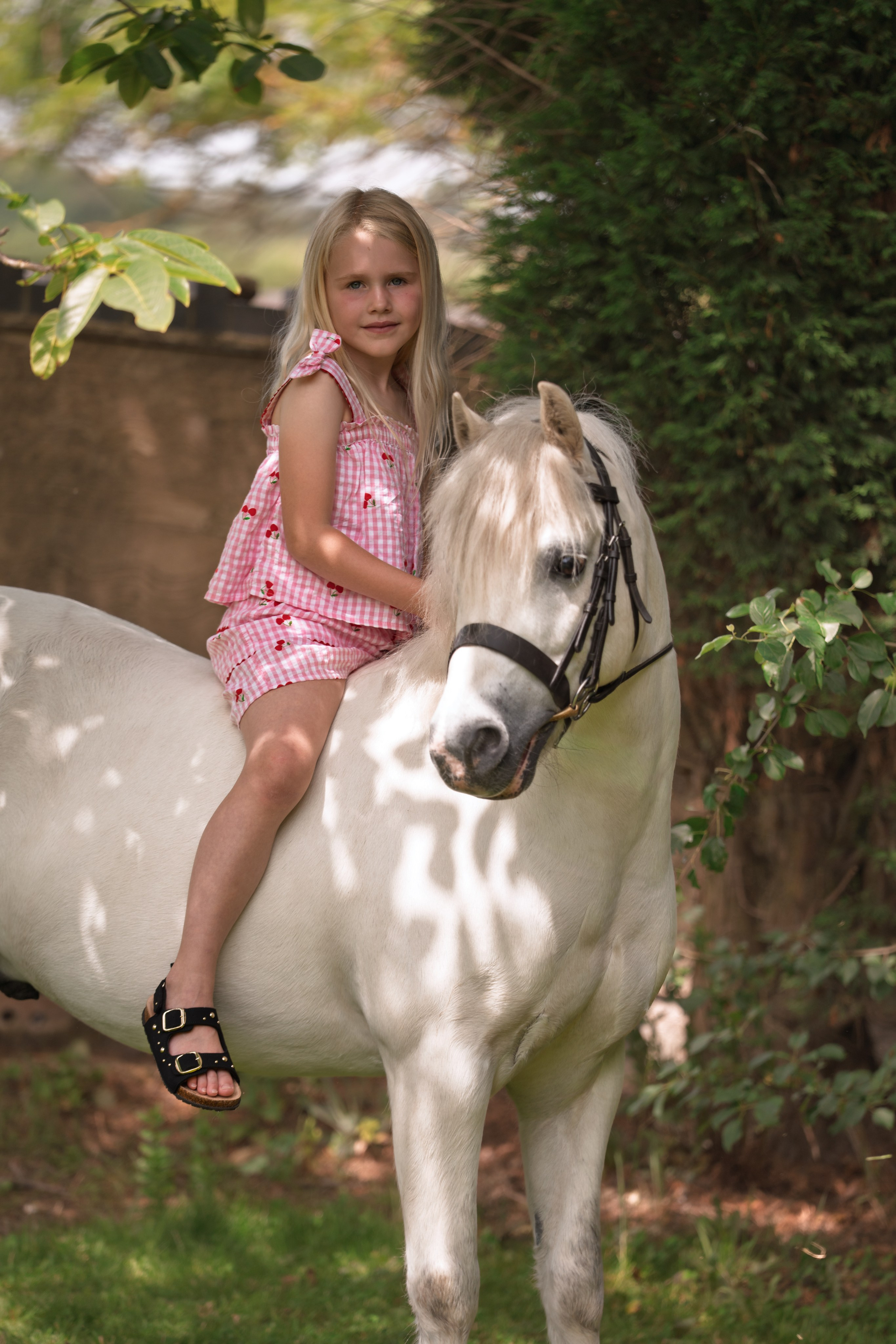 Equine Photography Portfolio | Leicestershire Horse Portrait Photographer. Leicestershire Equine Photography by El | Authentic Equine Portraits & Events