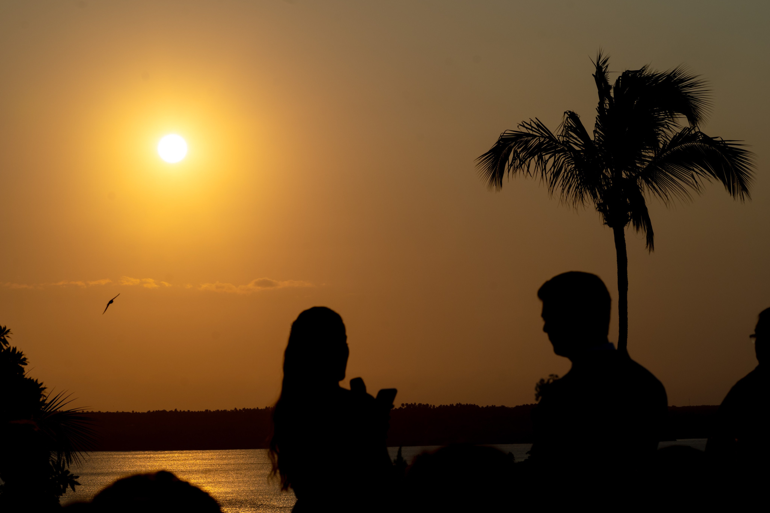 Flavia & Marco | Tibau do Sul-RN. Fotógrafo de casamentos e gestantes
