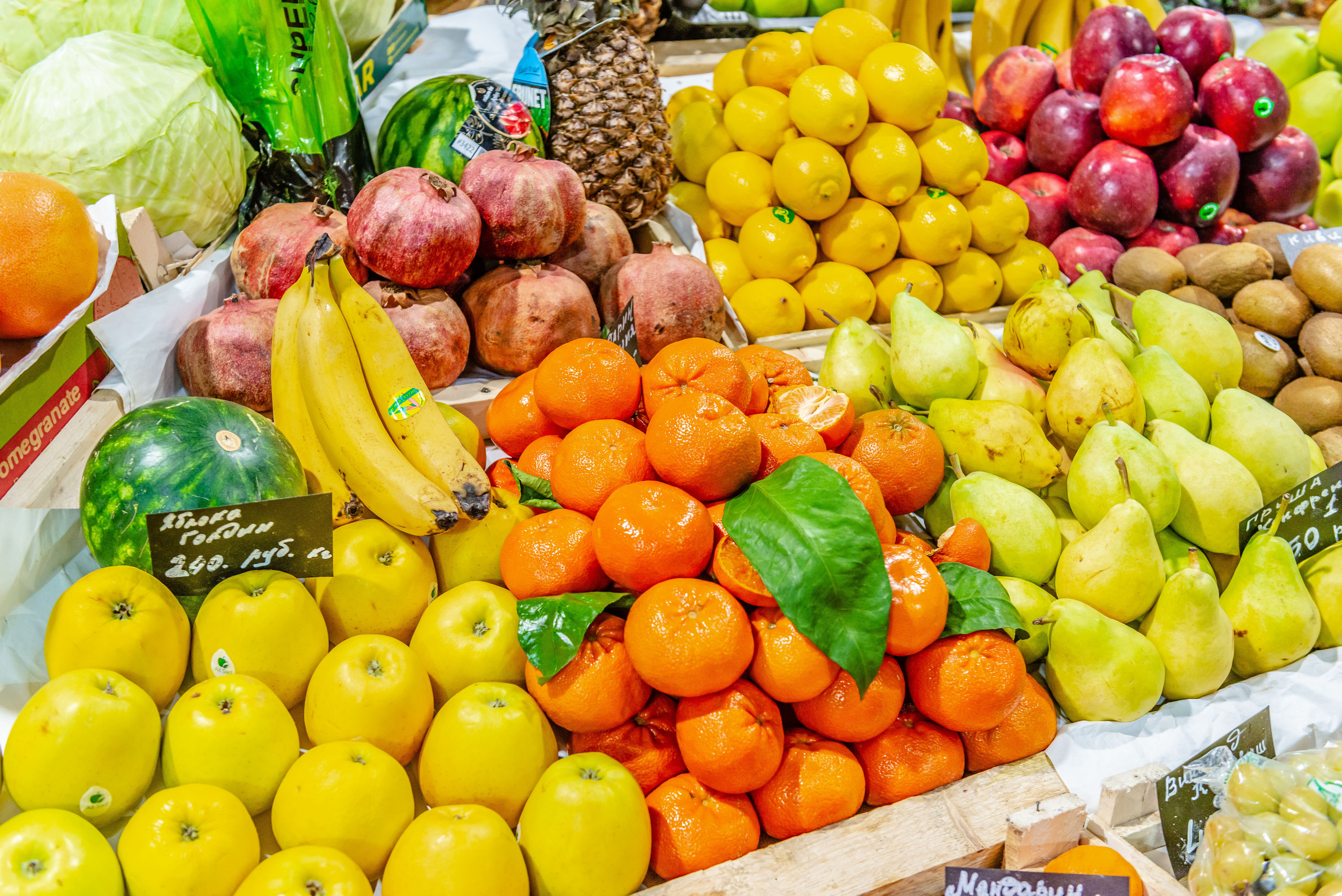 Reviews. PHOTOGRAPHER QUINTANA ROO