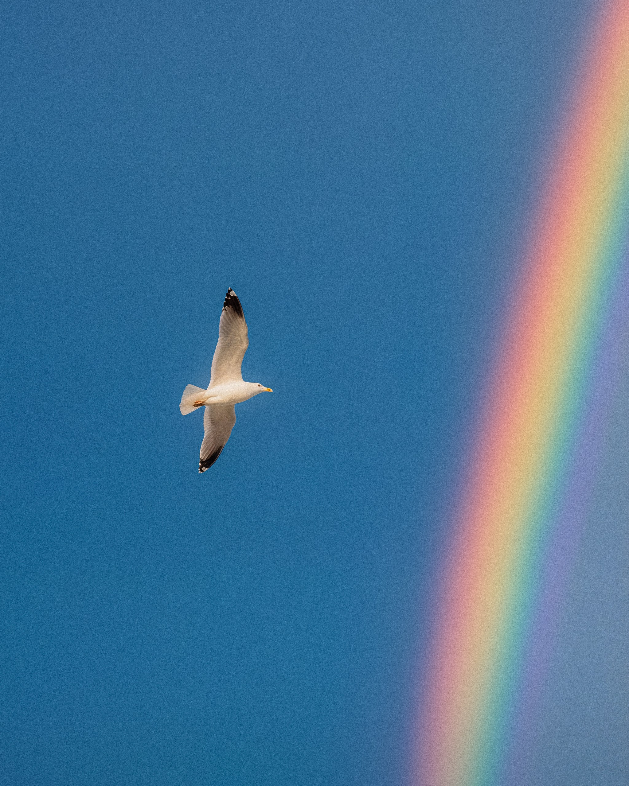 Photos of places around the World