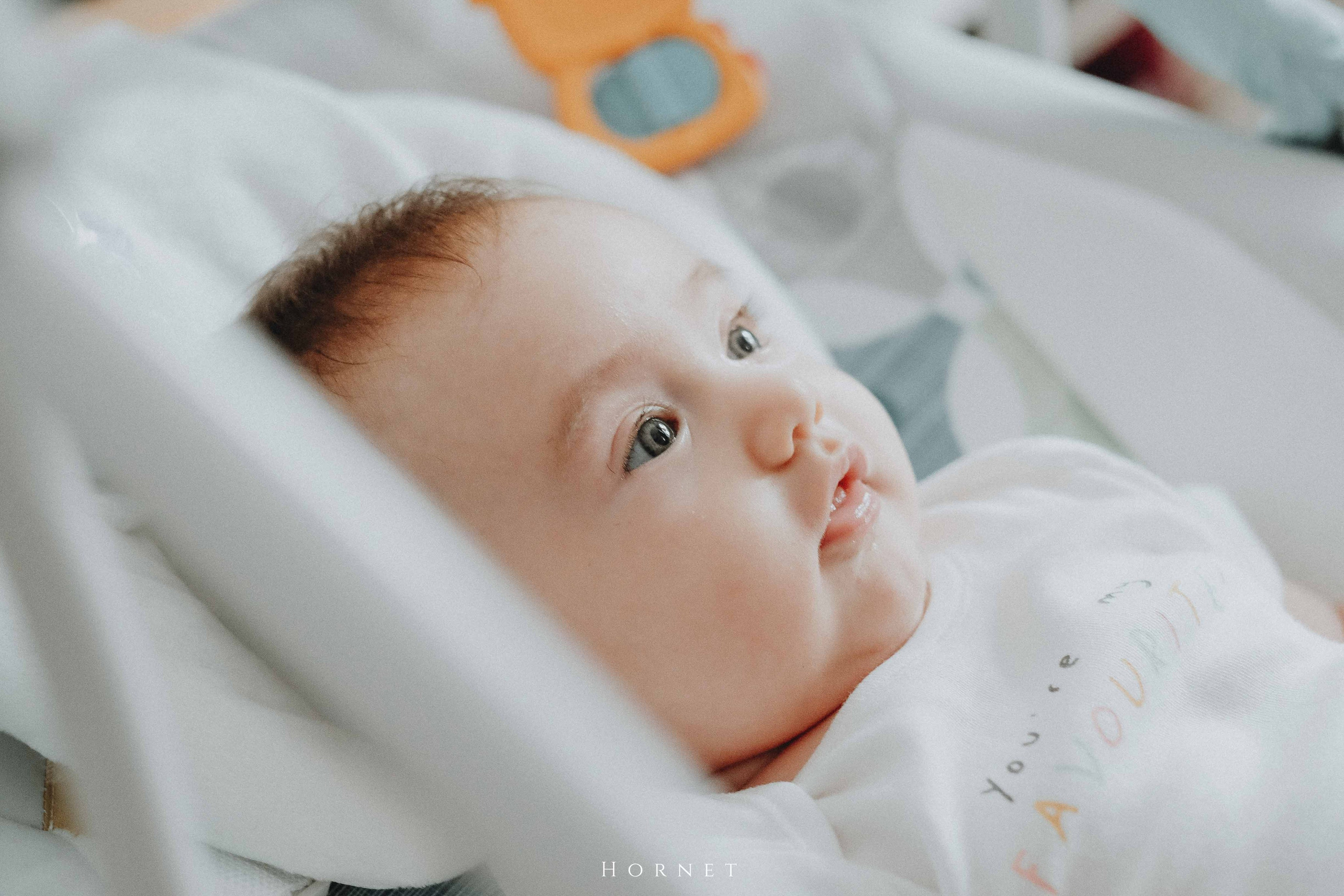 Iuliana + Ionut. Hornetart