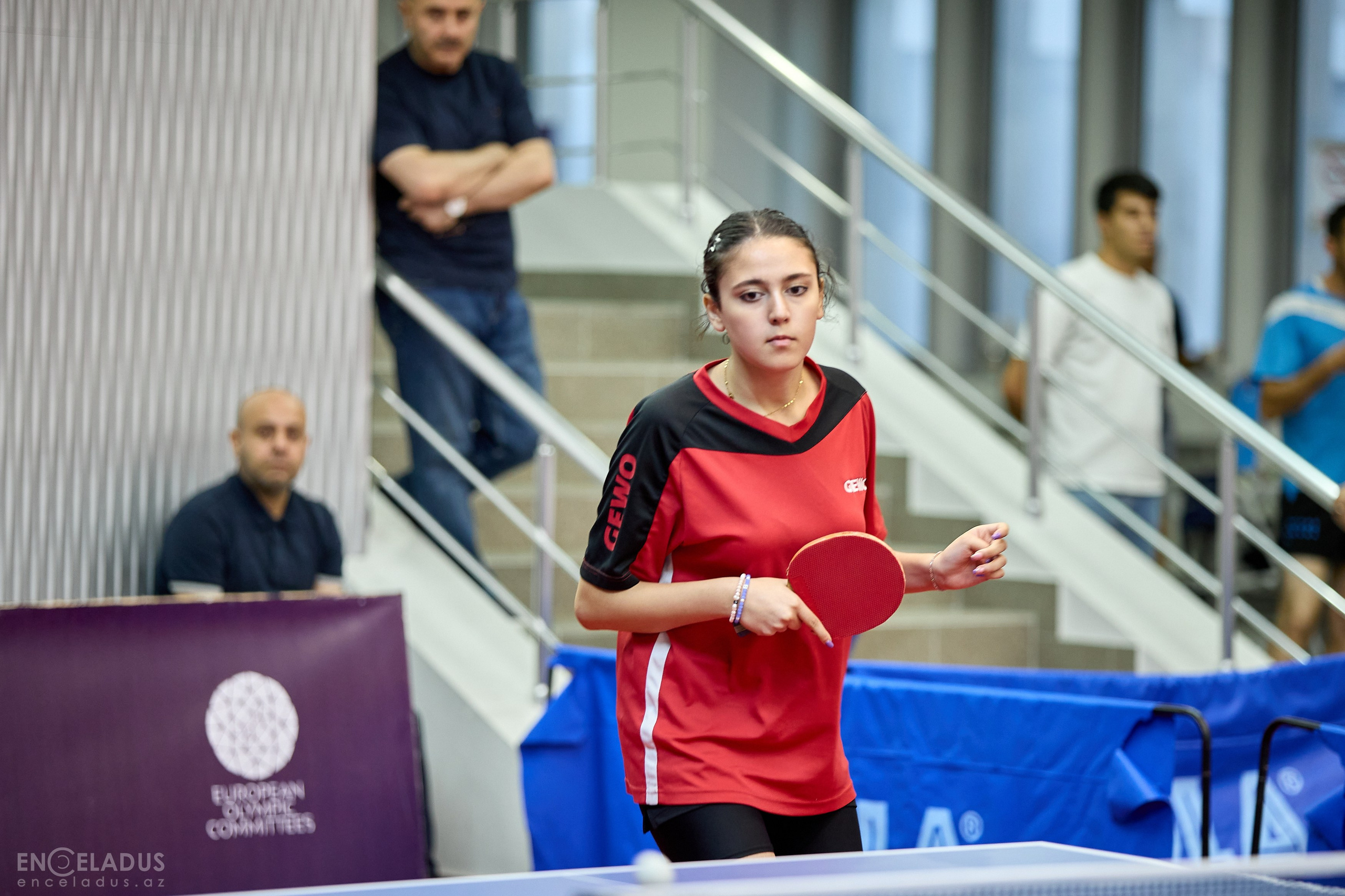 Table Tennis. Mix Tournament. Фотограф в Баку Kamran Enceladus