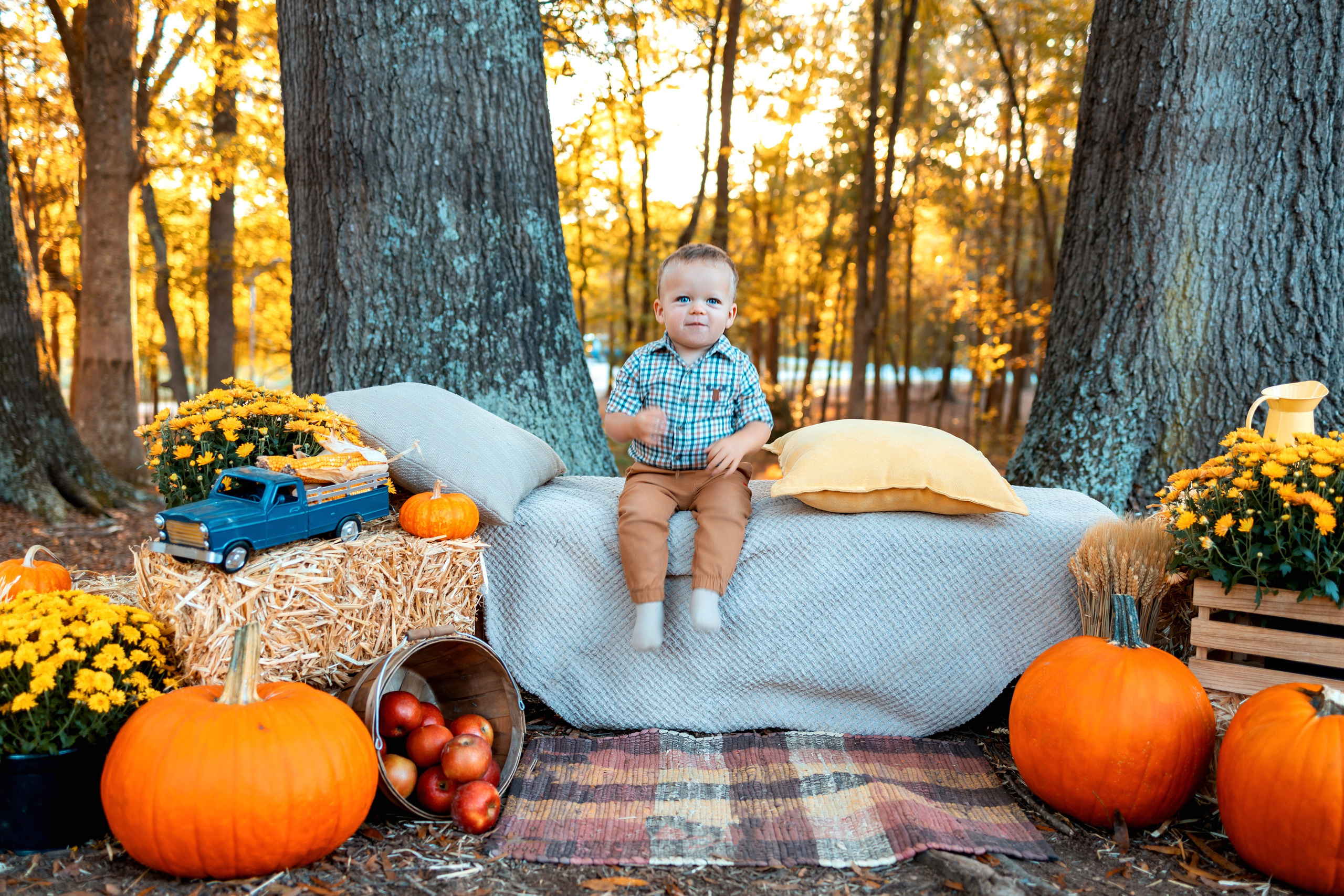 Fall photo day. Anaeliseevaphoto.com