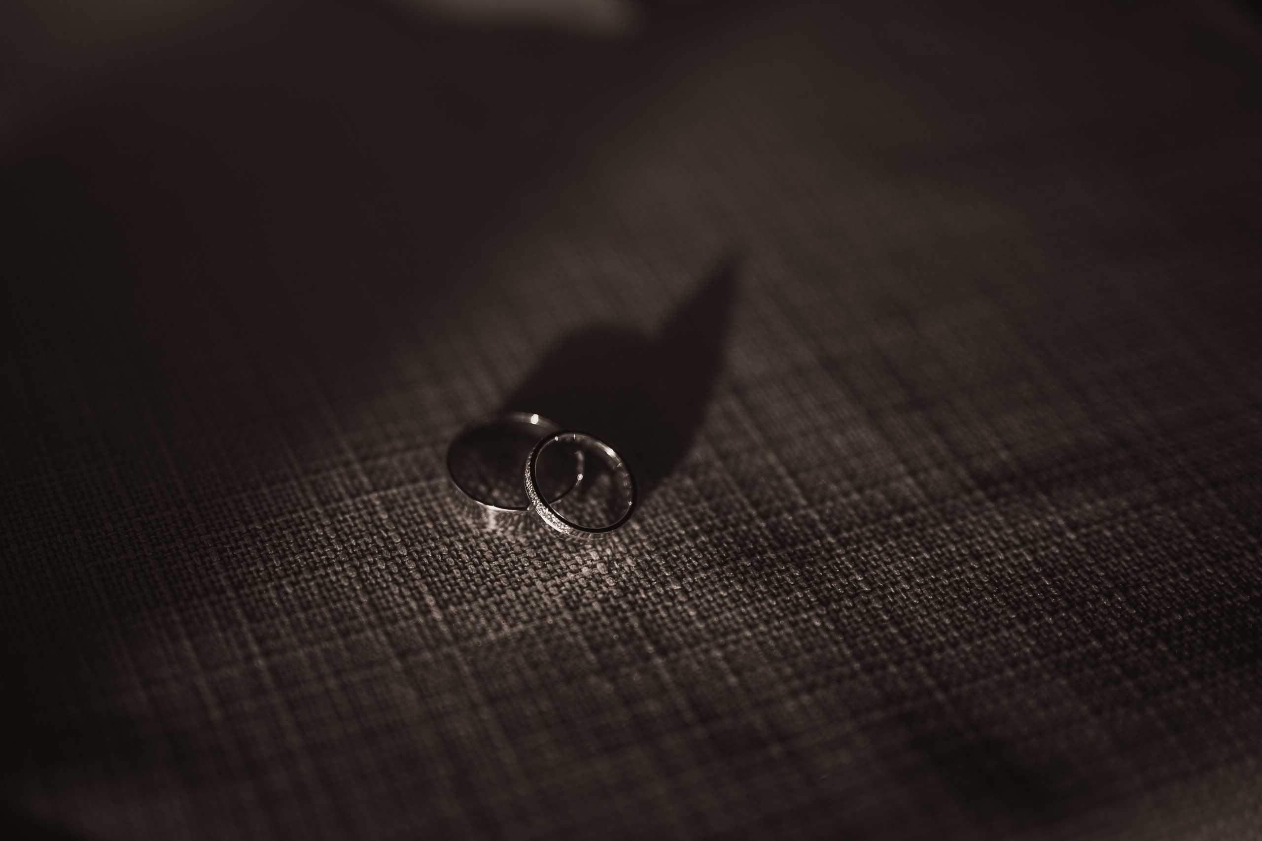 Mina & Dejan. Marko Tucić Photography | Fotograf Zrenjanin