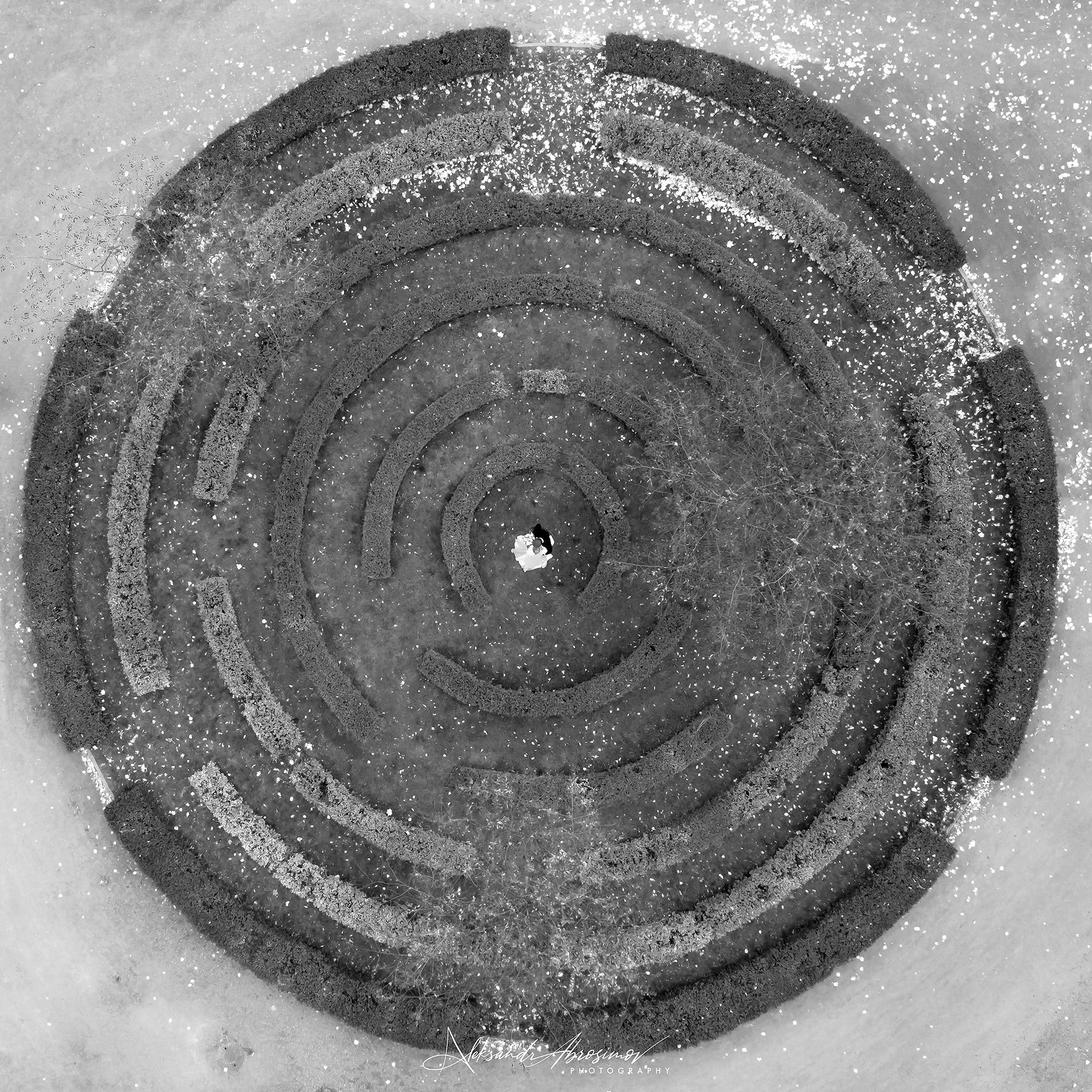 Wedding. Свадьба. Aleksandr Abrosimov Photography