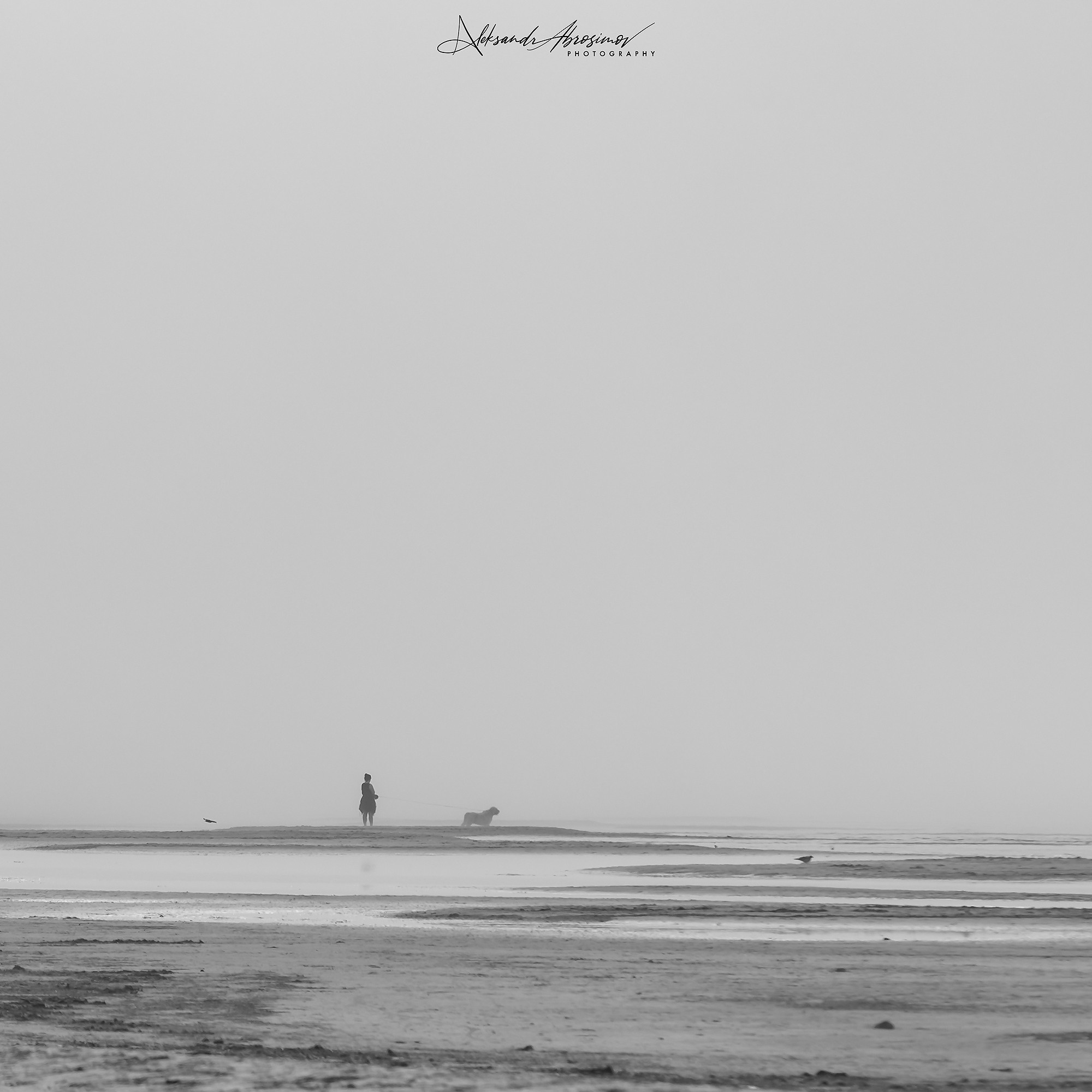 B&W. Aleksandr Abrosimov Photography