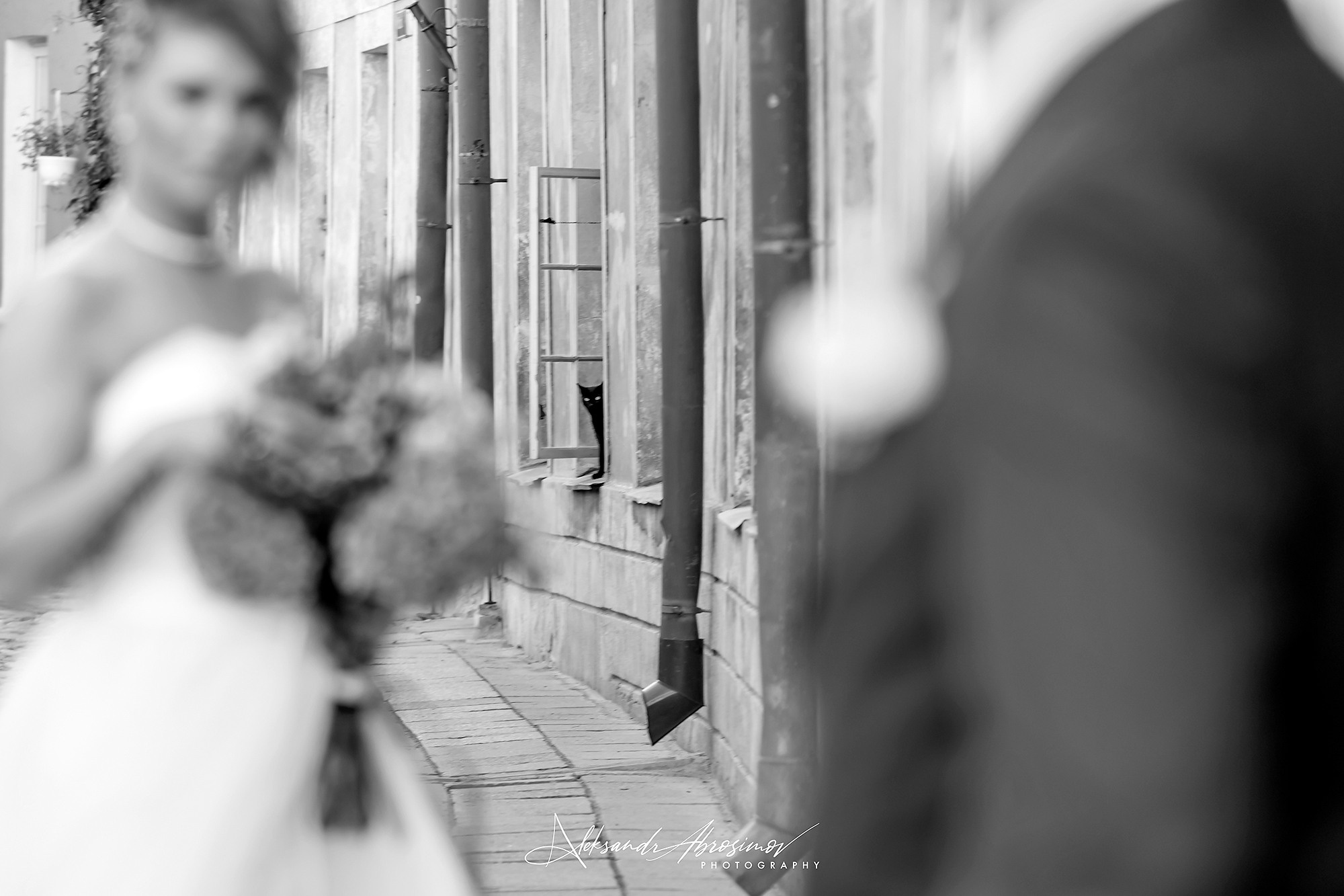 Wedding. Свадьба. Aleksandr Abrosimov Photography