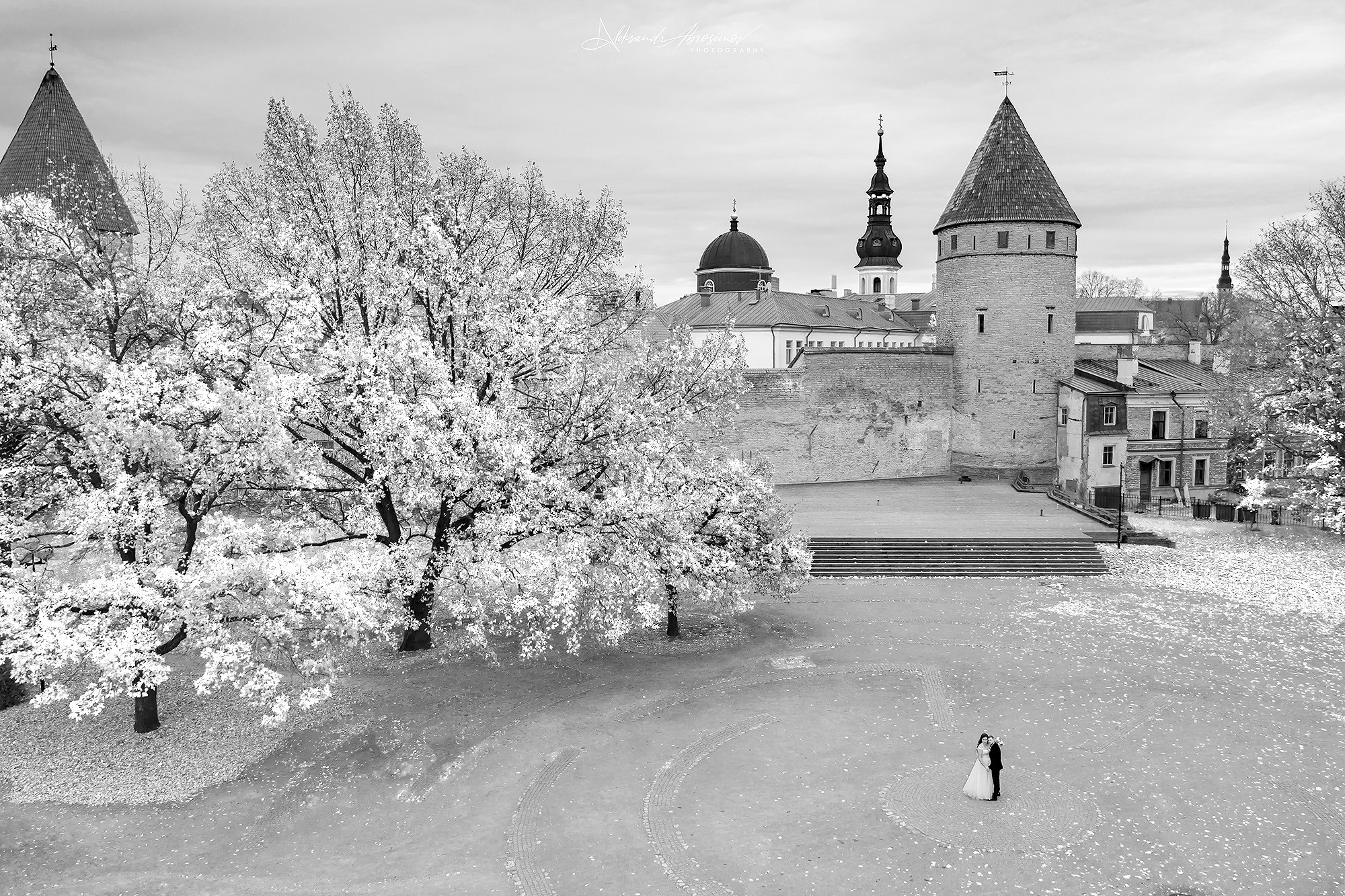 Wedding. Свадьба. Aleksandr Abrosimov Photography