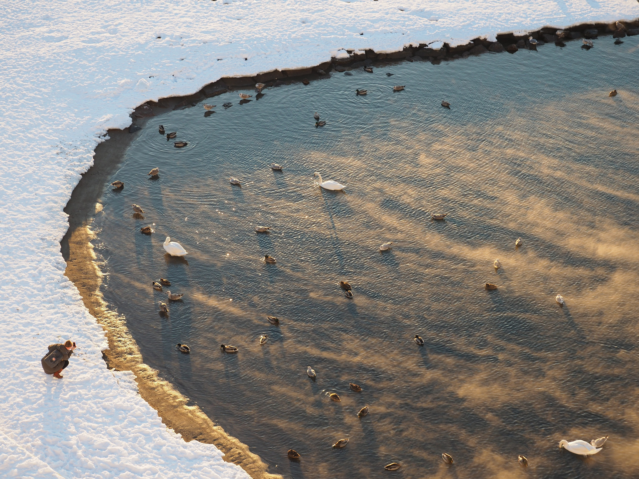 Demyd — art collection