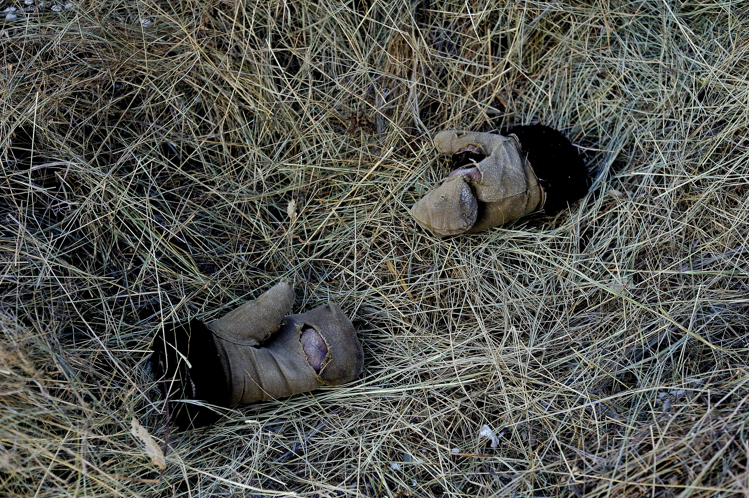 La meilleure saison. Ayar Kuo