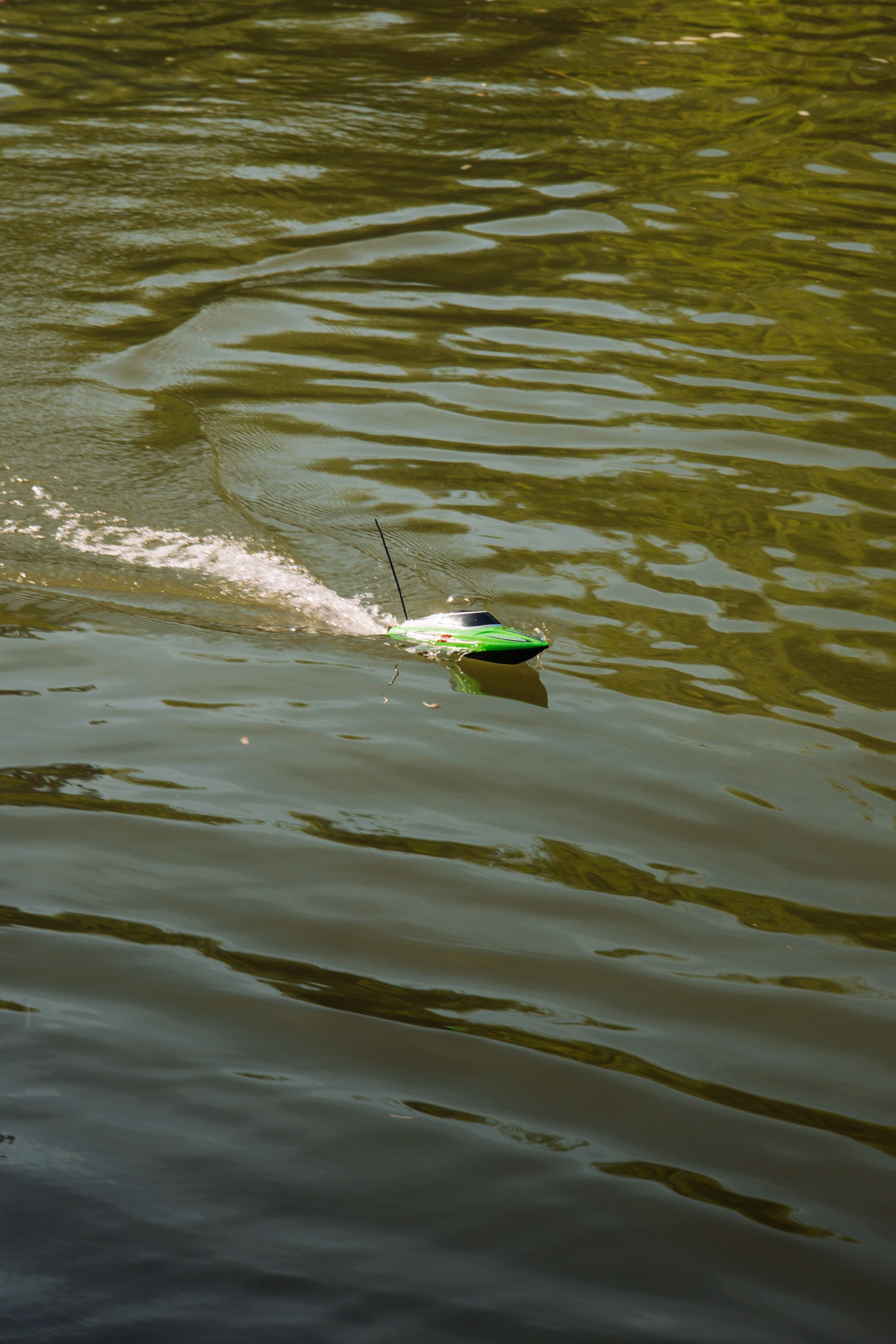 06.04 Bega Boat Race. Cozac Cristian Photographer