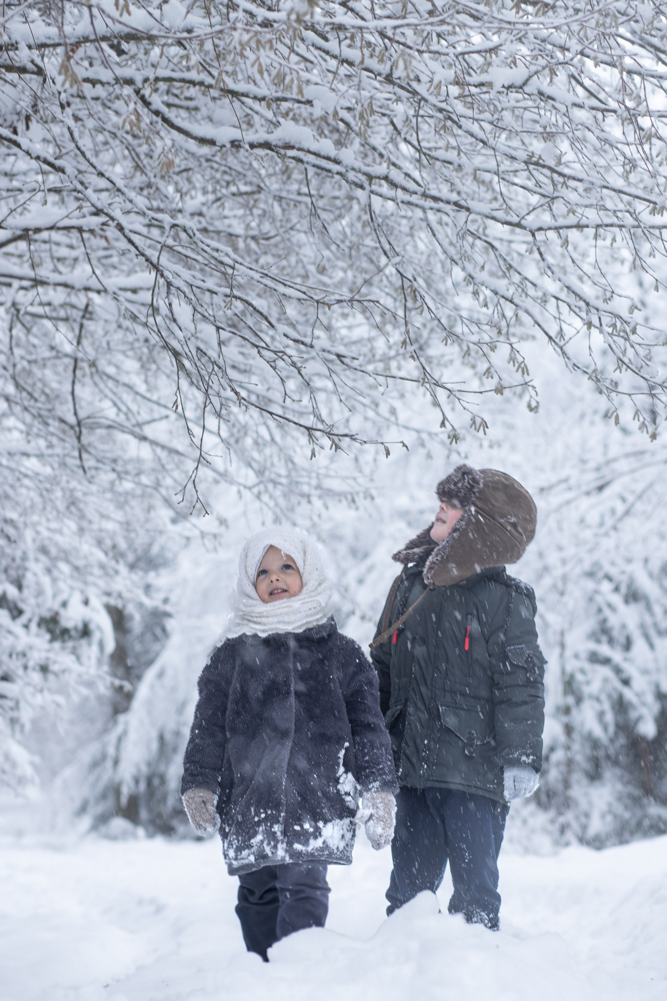 Ein Weihnachtsmärchen. Olena Fritz Fotografie