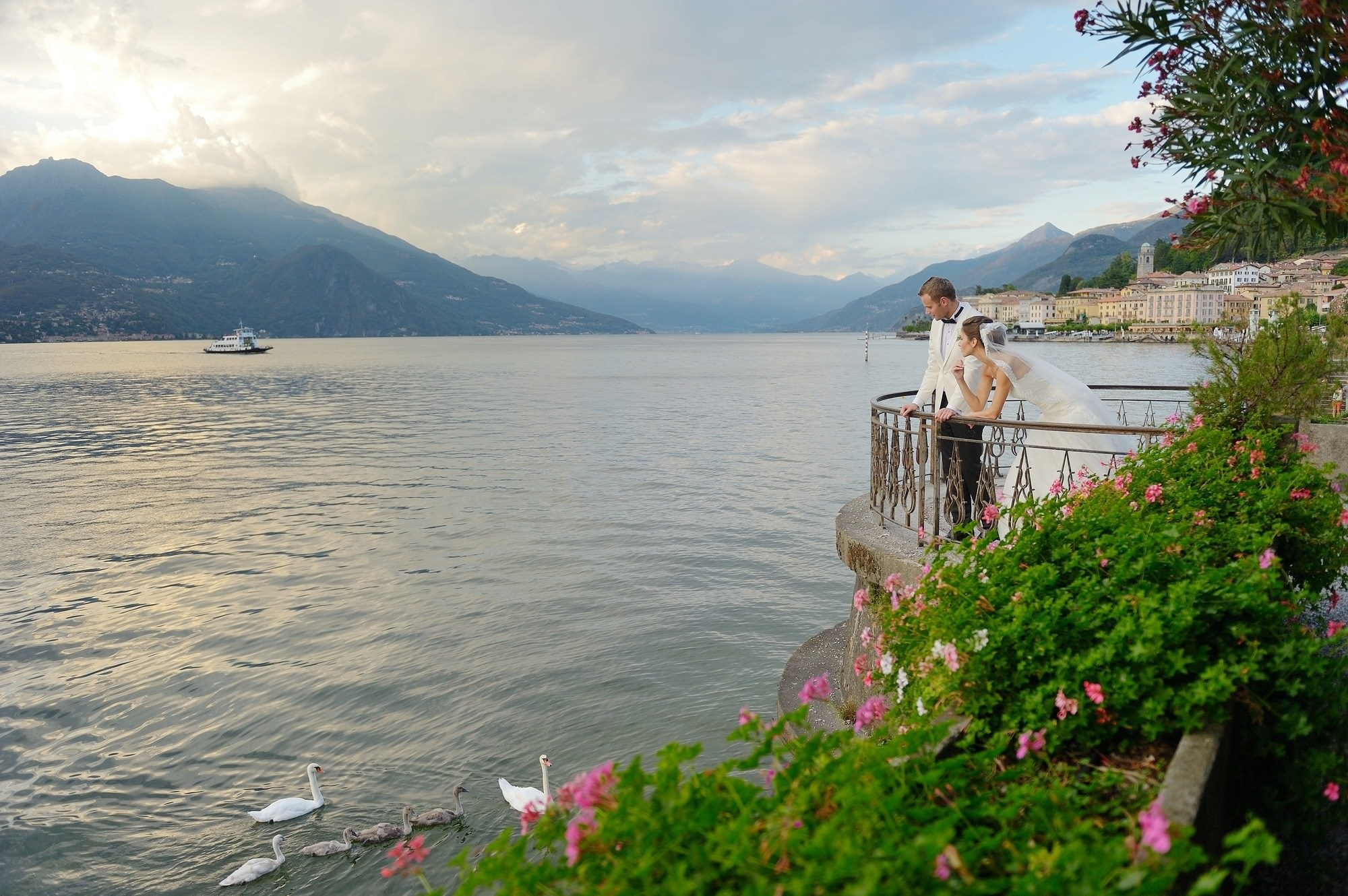 Newlyweds portrait with swans Bellagio Lake Como sunset
