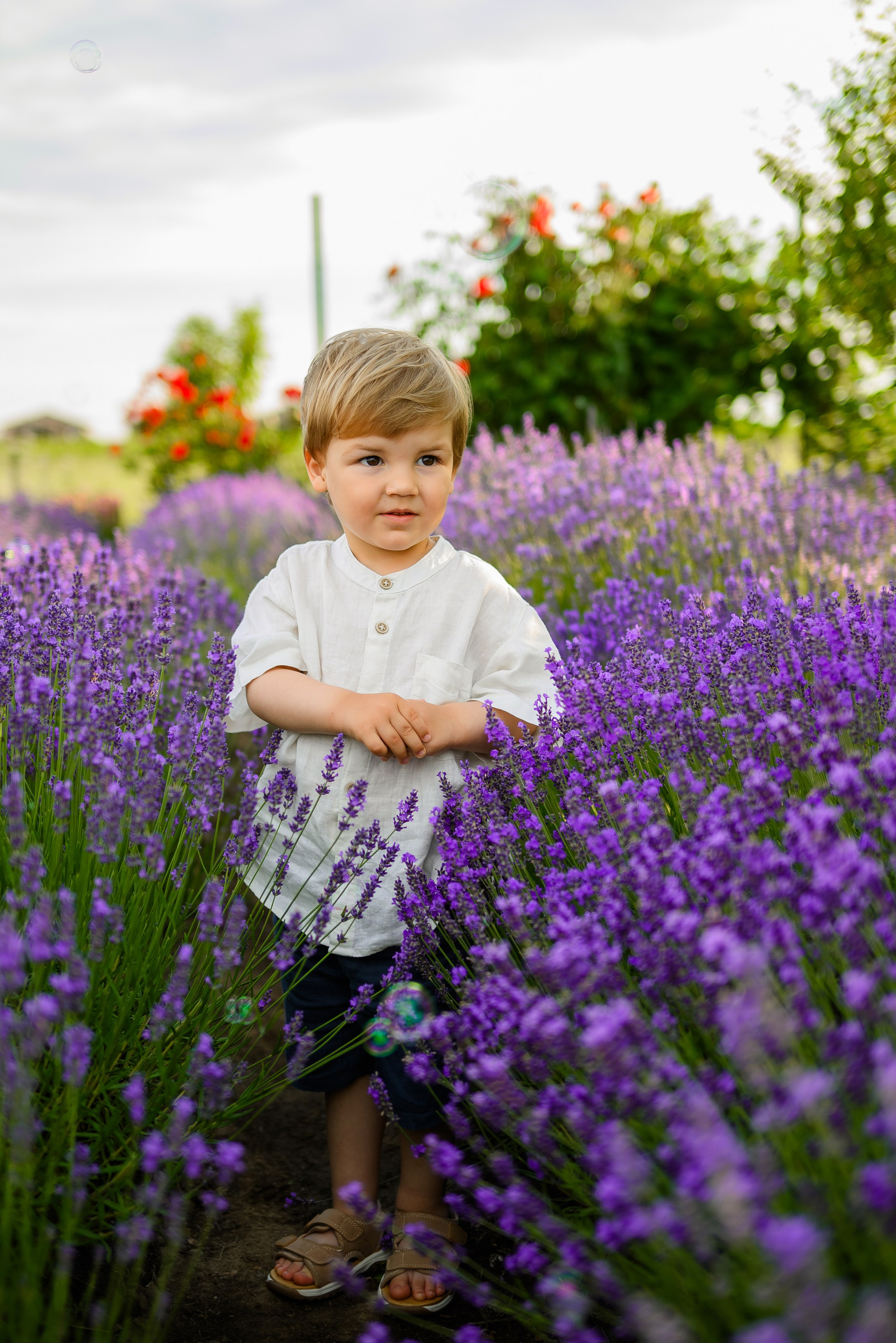 Sedinte foto in natura. Daria Kids Photo by Alexandra Tomoiu | Fotograf familie si evenimente | Militari Residence, Bucuresti
