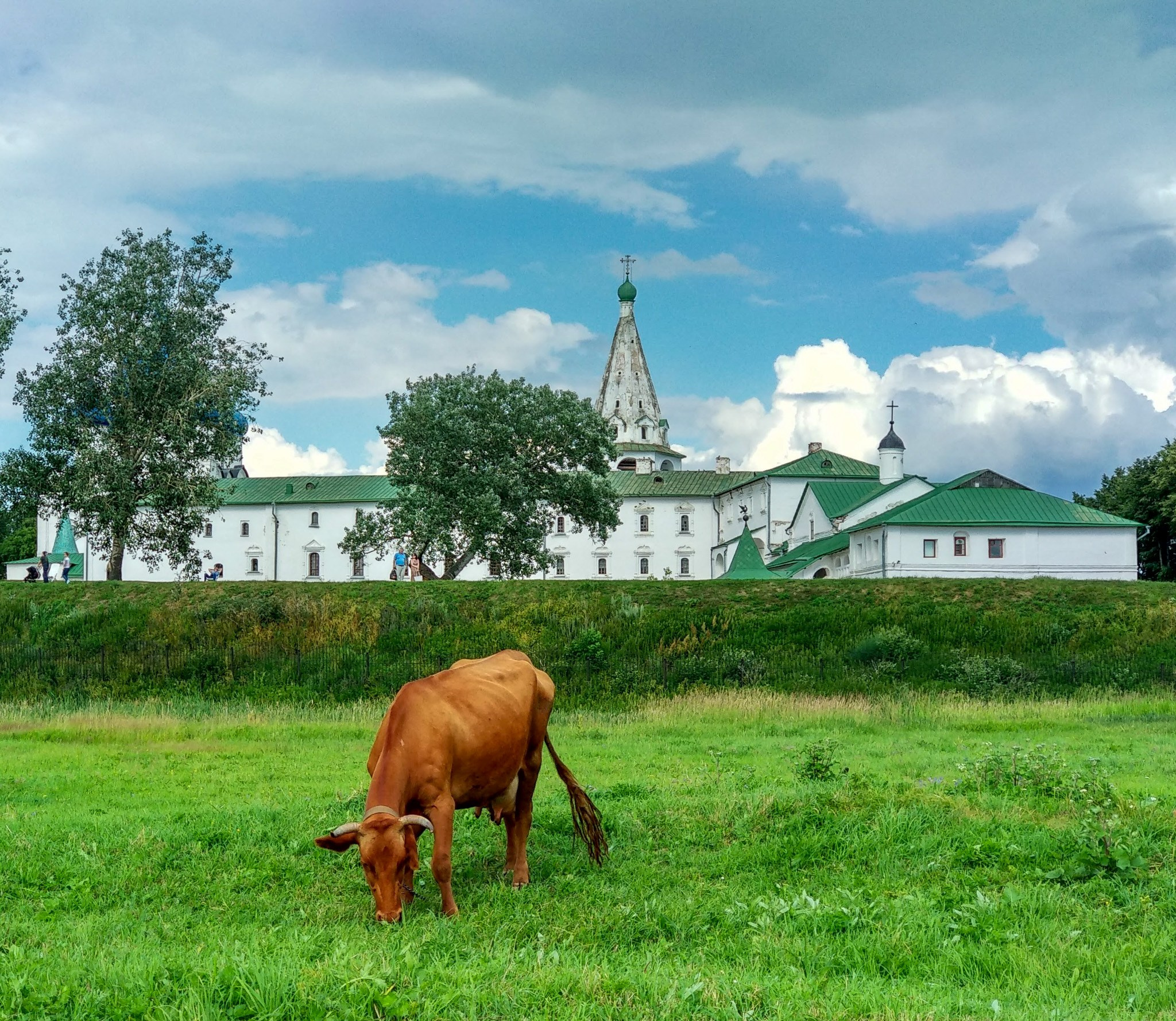 MOBILE PHOTO. UNRATED PHOTO