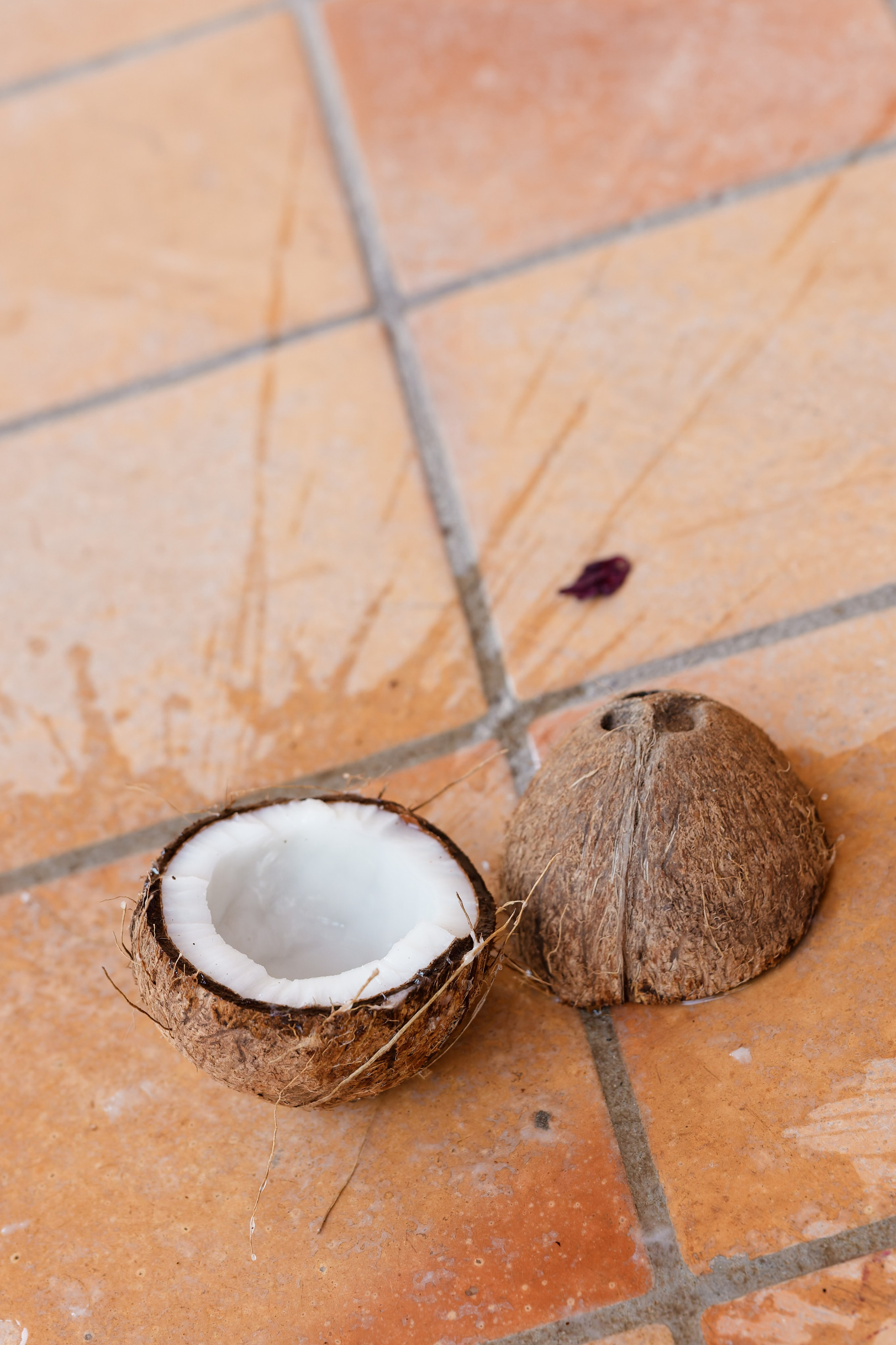Indian wedding at Gran Villa Rosa, Barcelona
