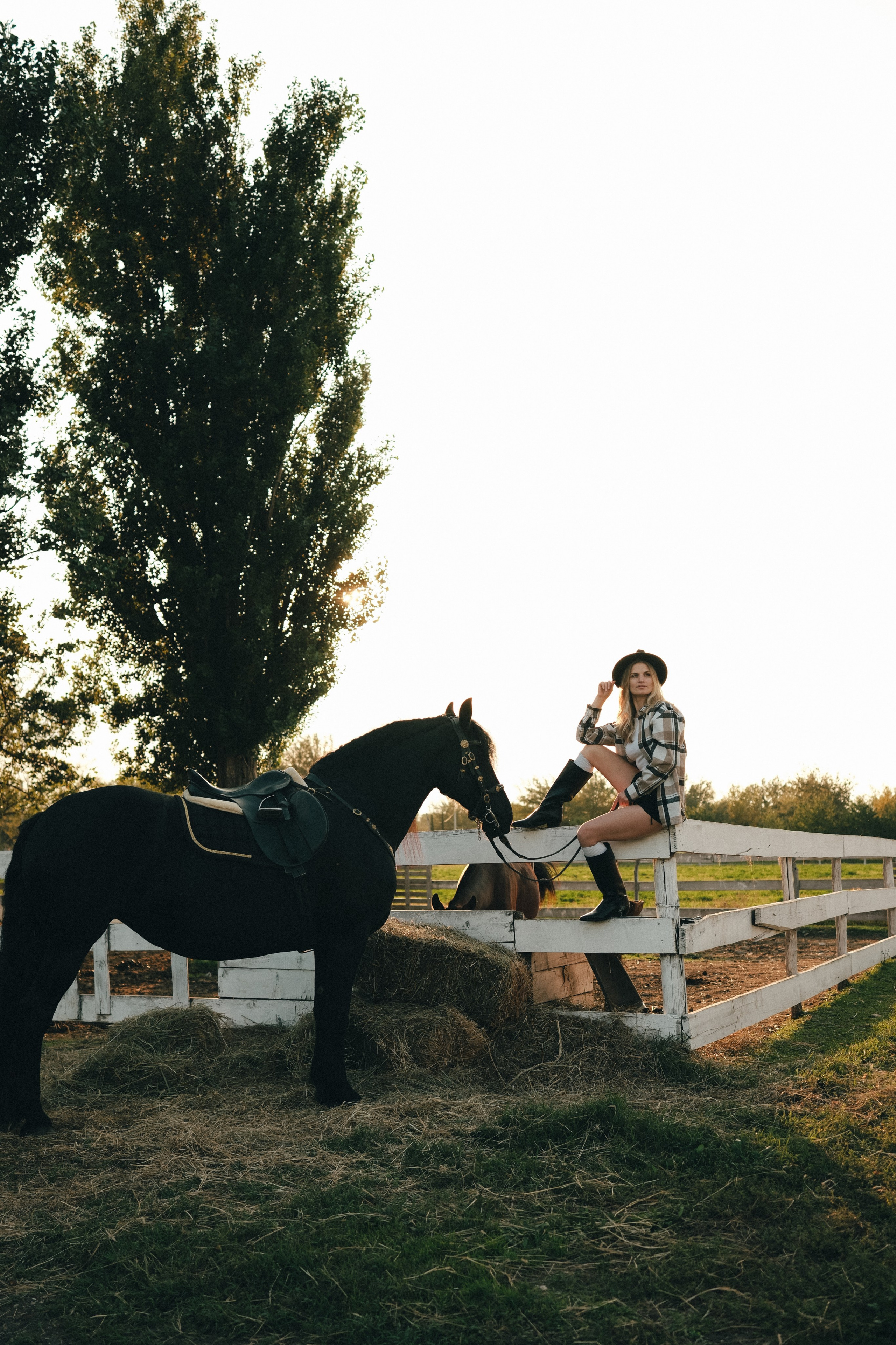 Horse photoshoot | Elena. Главная
