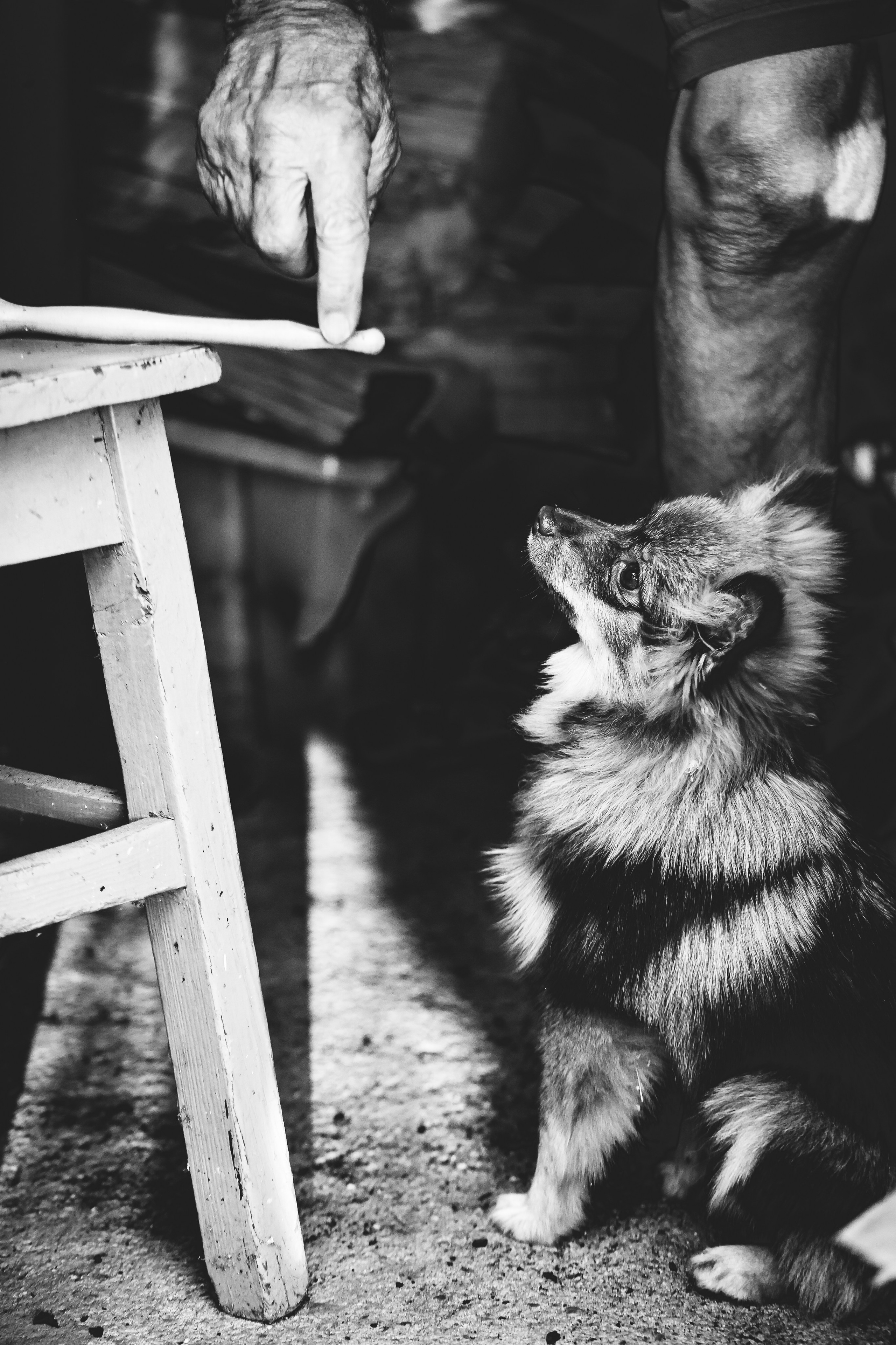 Store. REC21Films audiovisuals productions