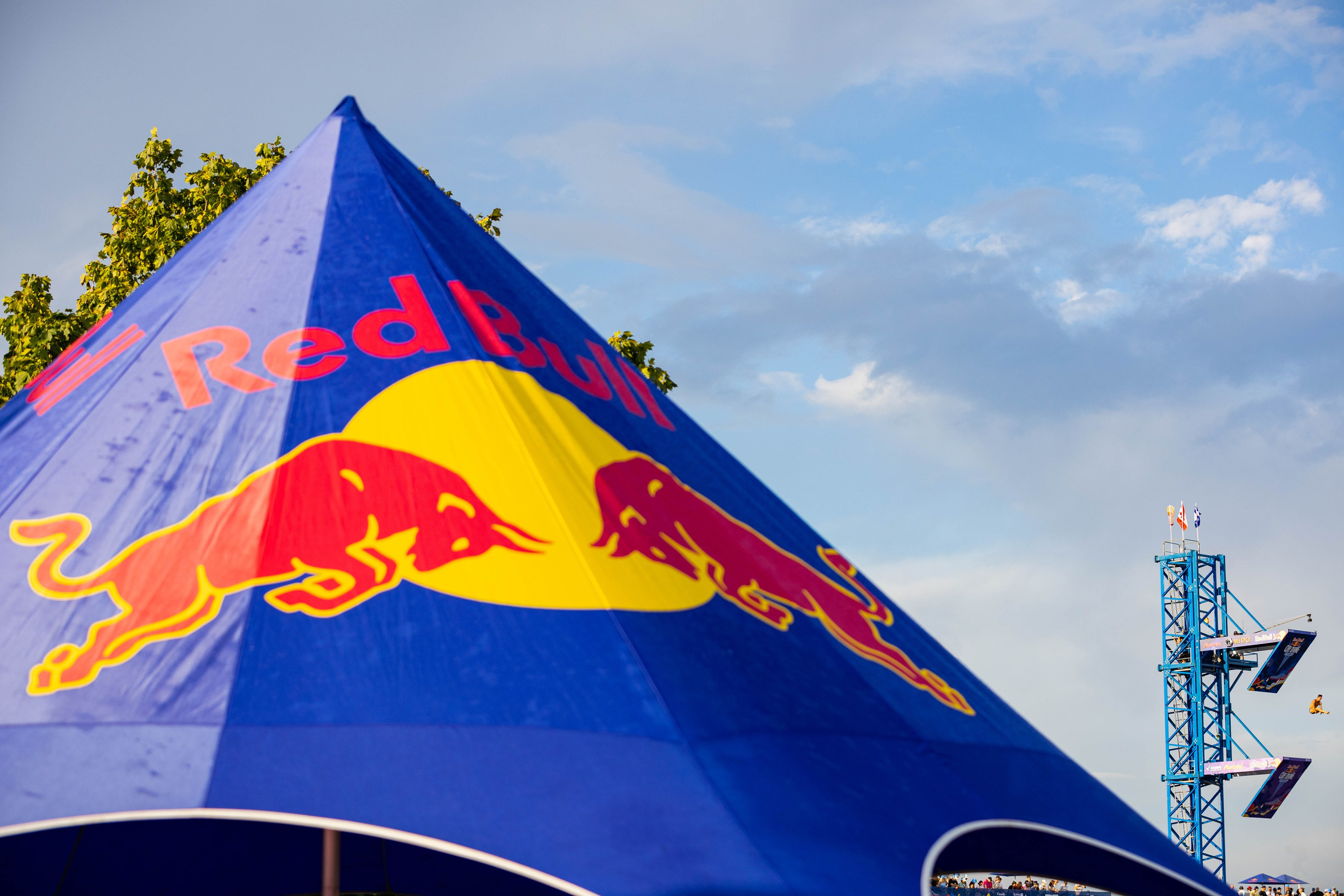REDBULL DIVE MONTREAL