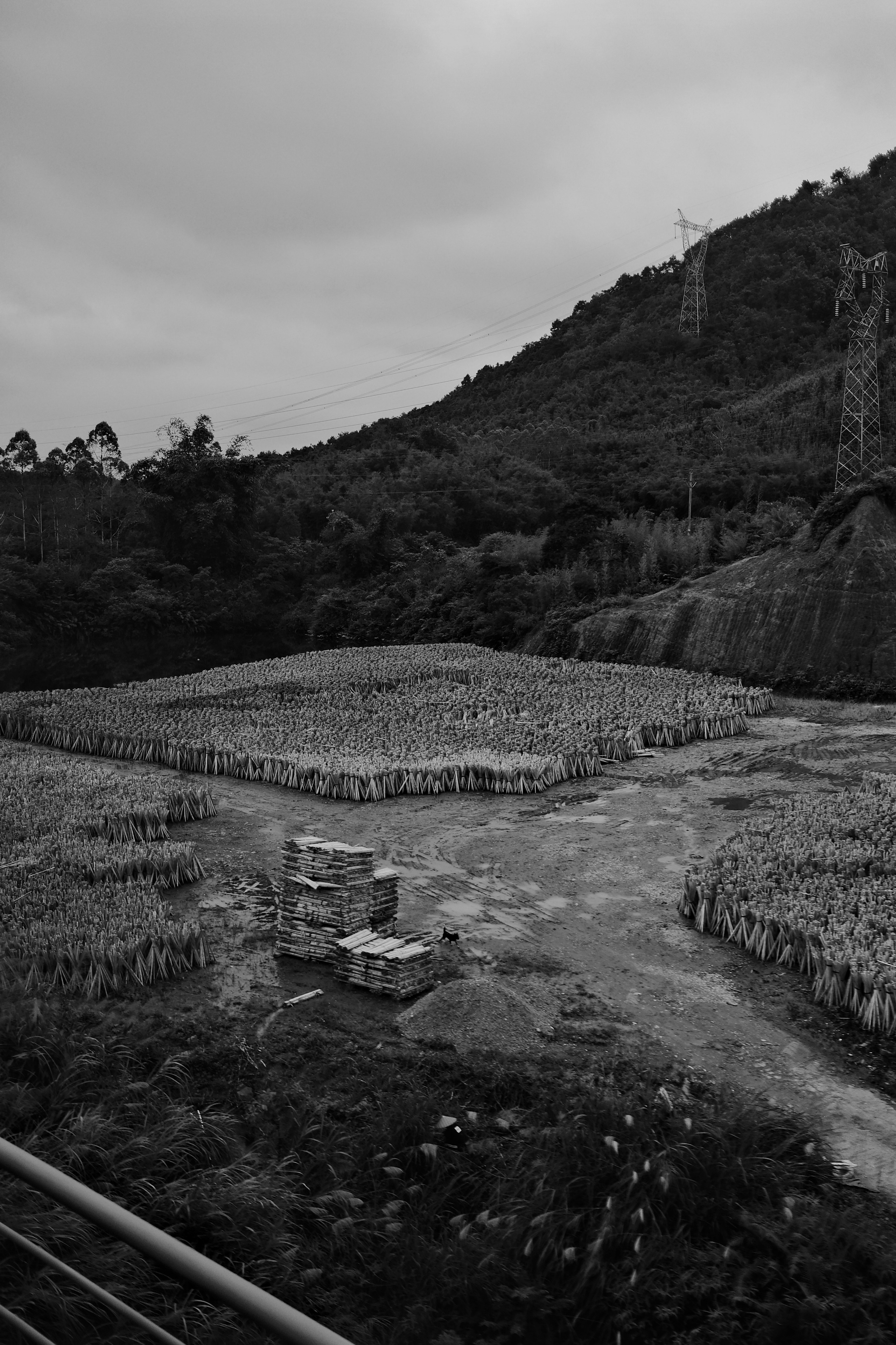 Yangshuo China Guiling. Фотограф В Гуанчжоу и Шэньчжэнь Андрей Лопатин