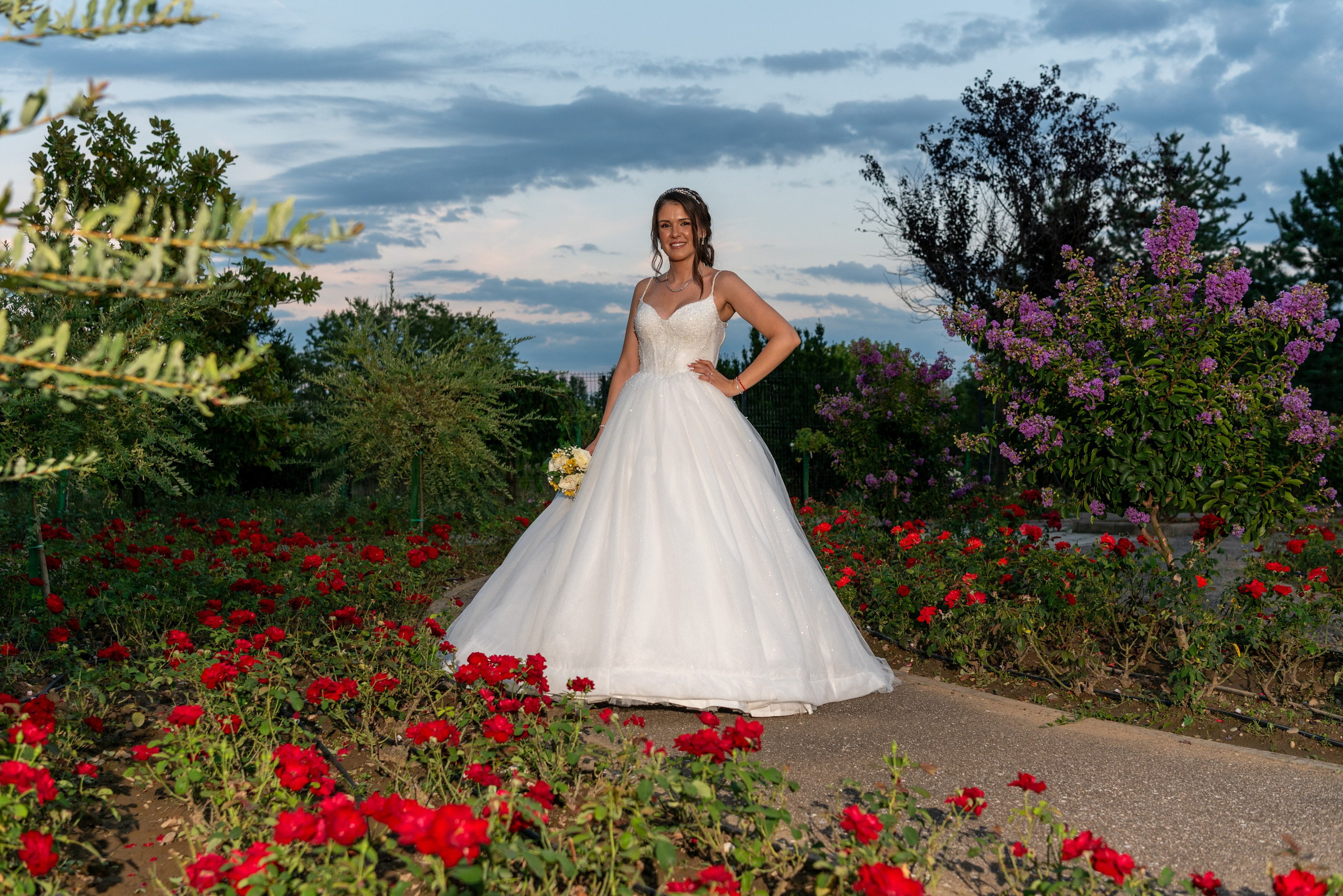 Portfolio. Dragan Janković