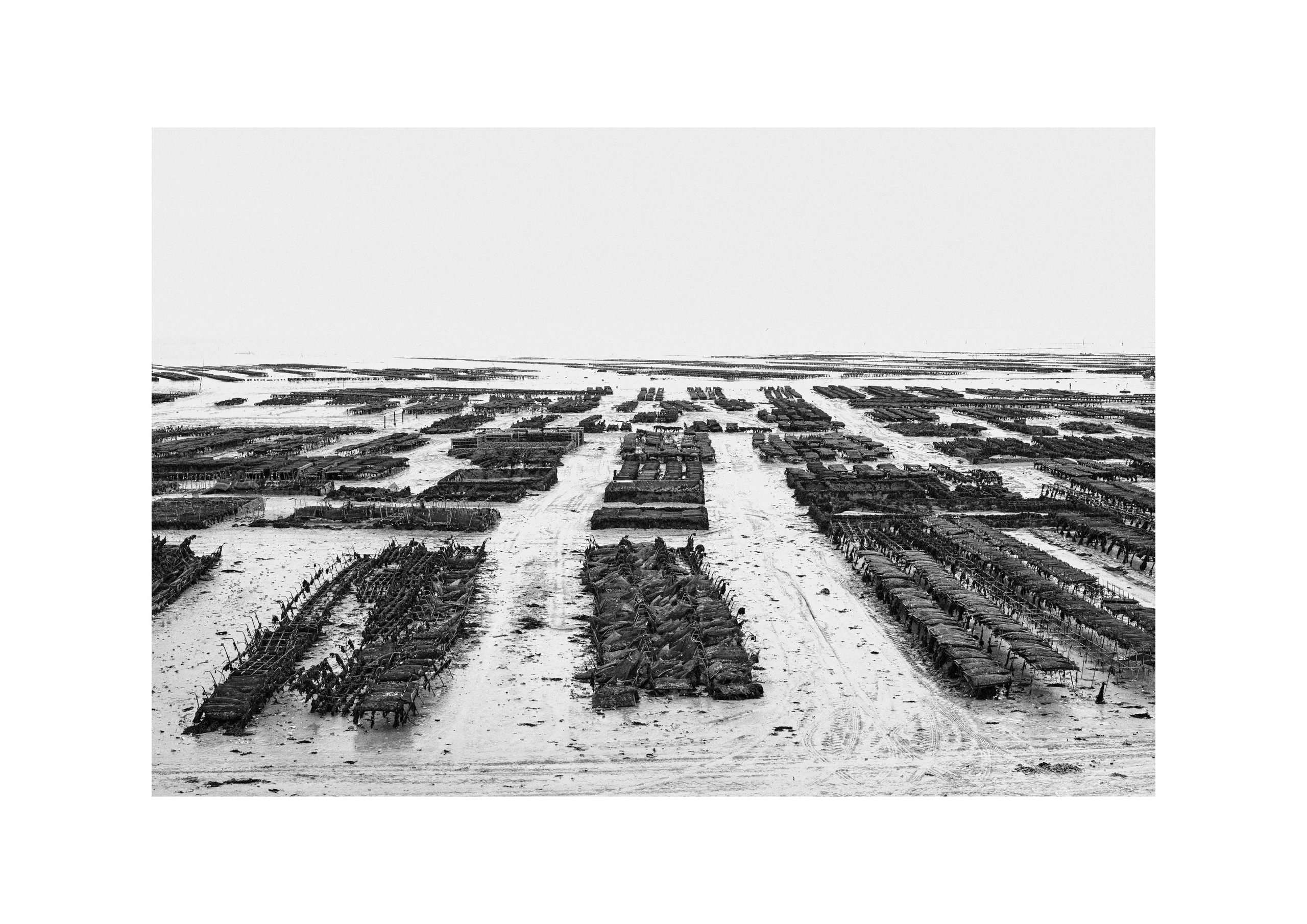 B&W. Cinema that you’ll never see