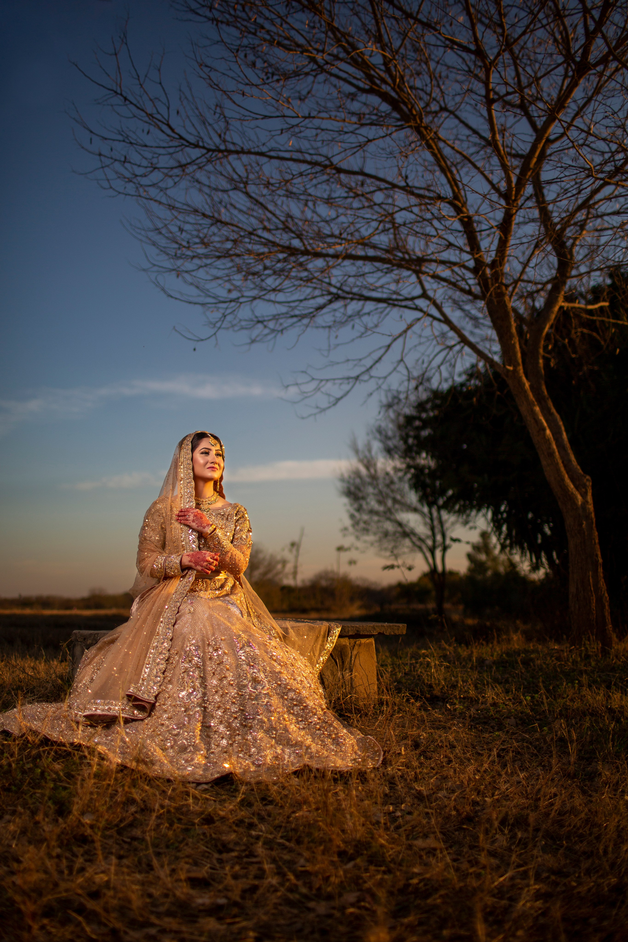 Portfolio. Chaar Bhai — Your Personal Family Historians