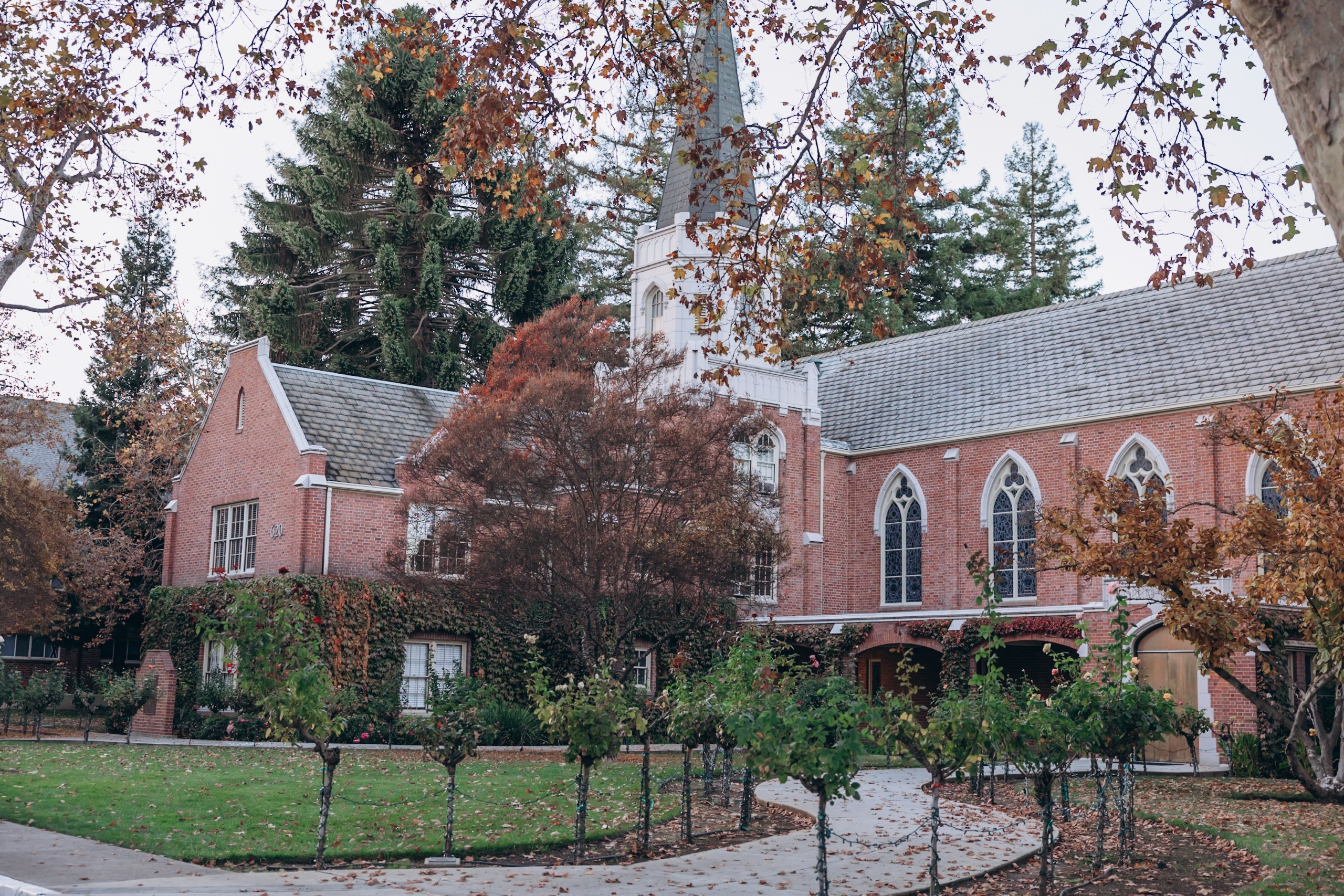 Wedding D&G. Family and children’s lifestyle photographer Elena Tumanova