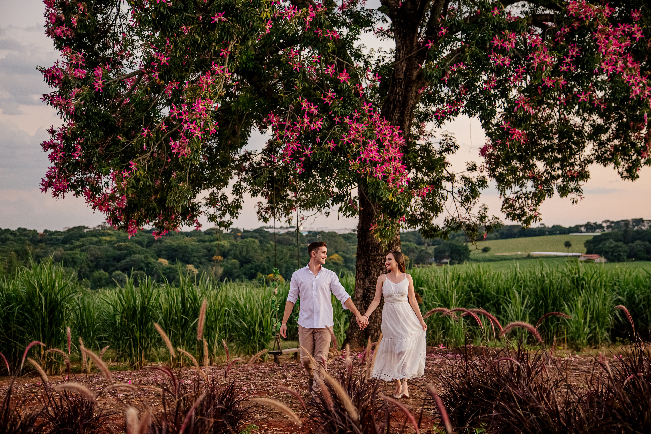 holambra ensaio pre wedding  linda foto