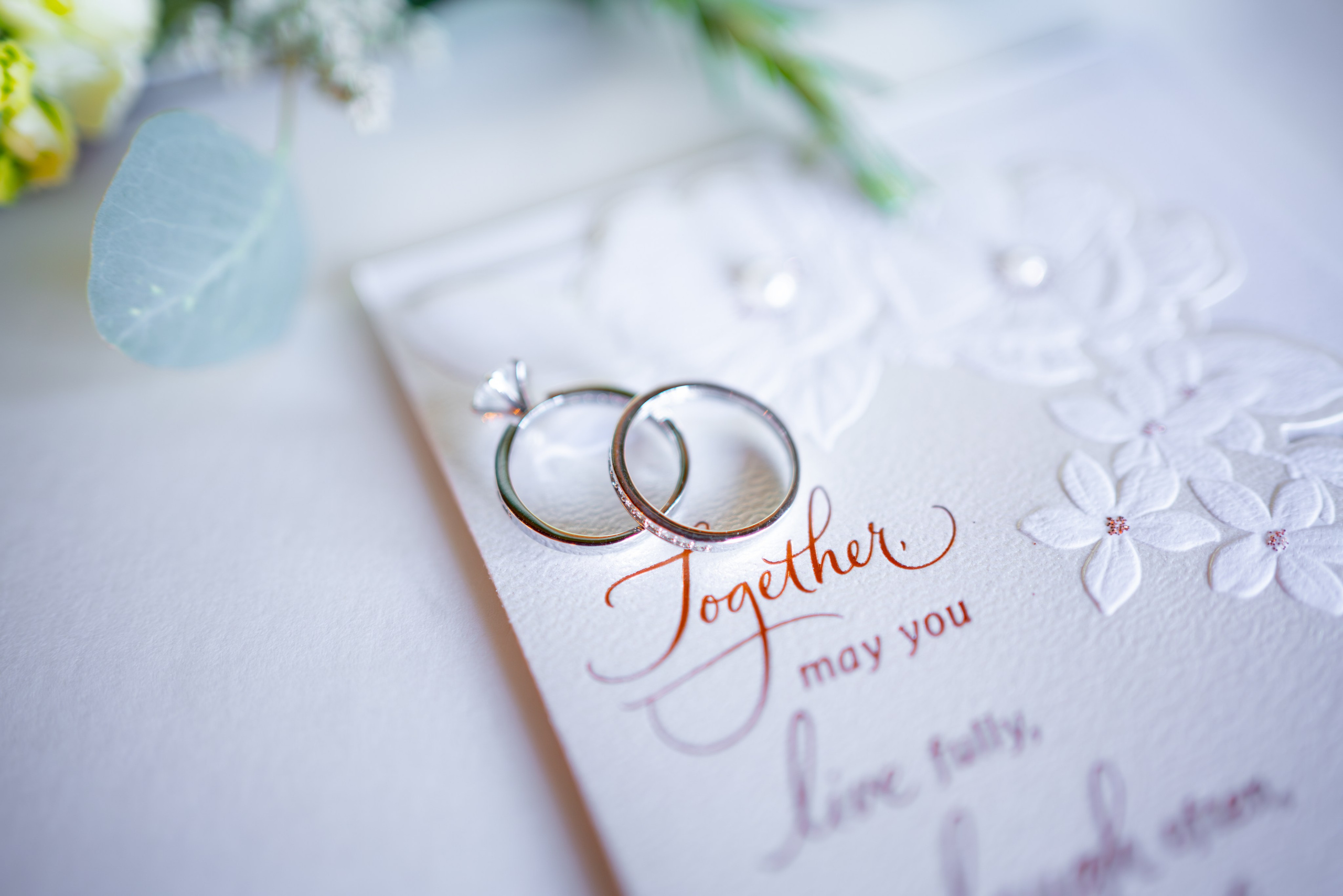 Aleksey & Samuella. Sacramento Photographer — Olga Maltseva based in California