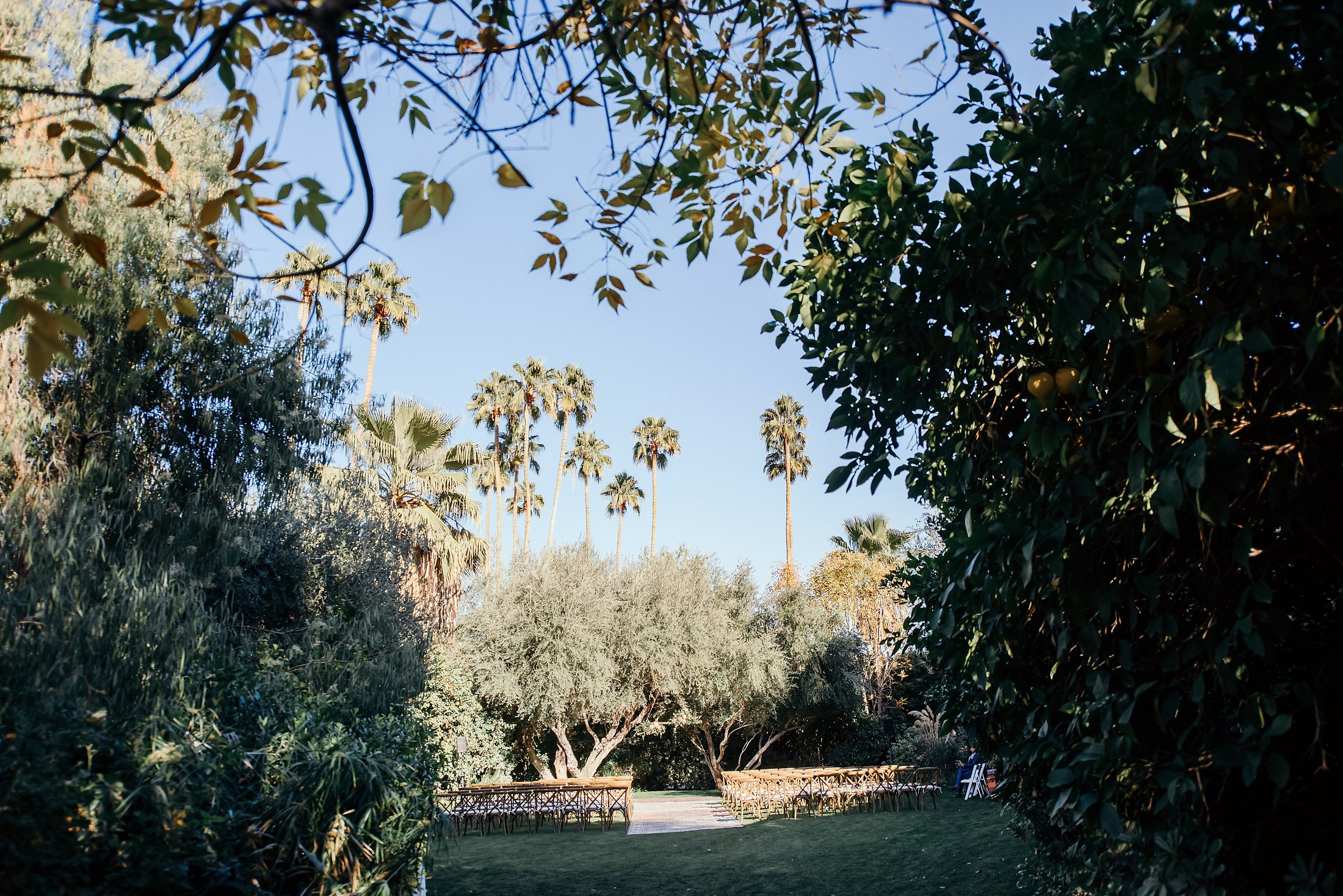 Wedding photo shoot. Wedding photographer. Wedding, maternity and family photographer in Charlotte Tasha Minn