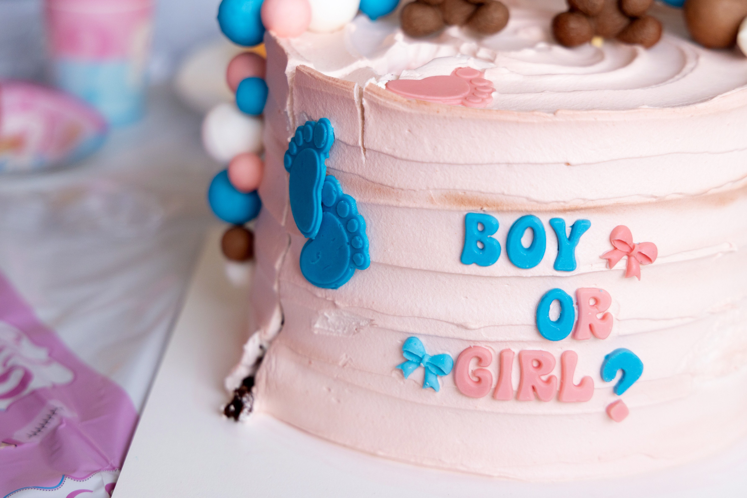 Gender Party for Alina and Michael. Home