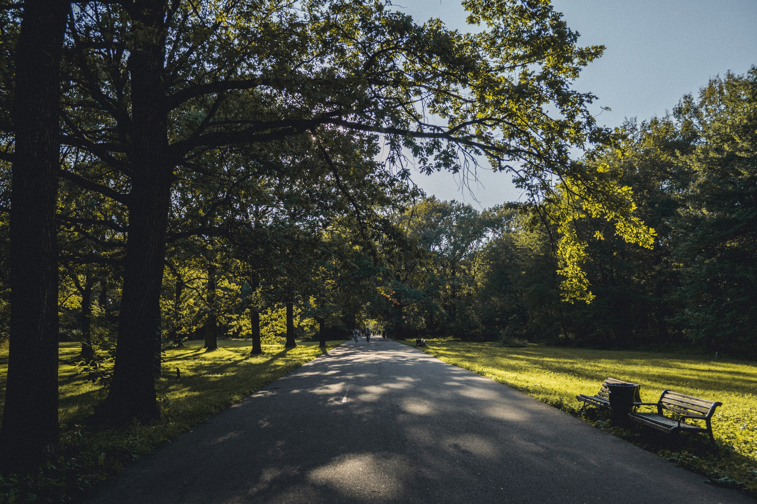 ВДНХ и Ботанический сад. Семейный и детский фотограф на Лазурном Берегу