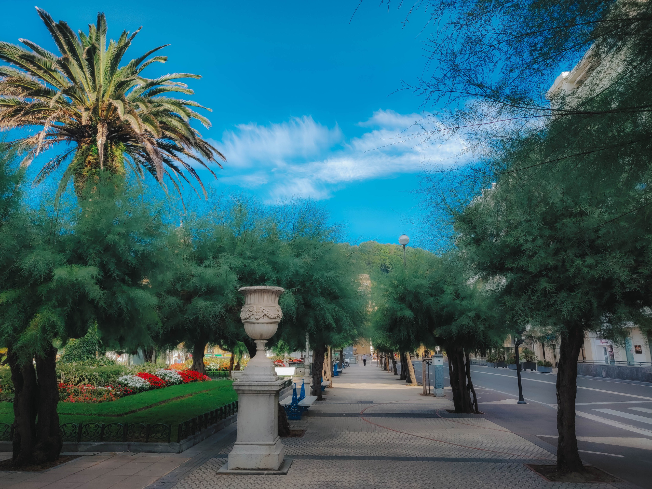 Donostia. Alba del Norte Studio