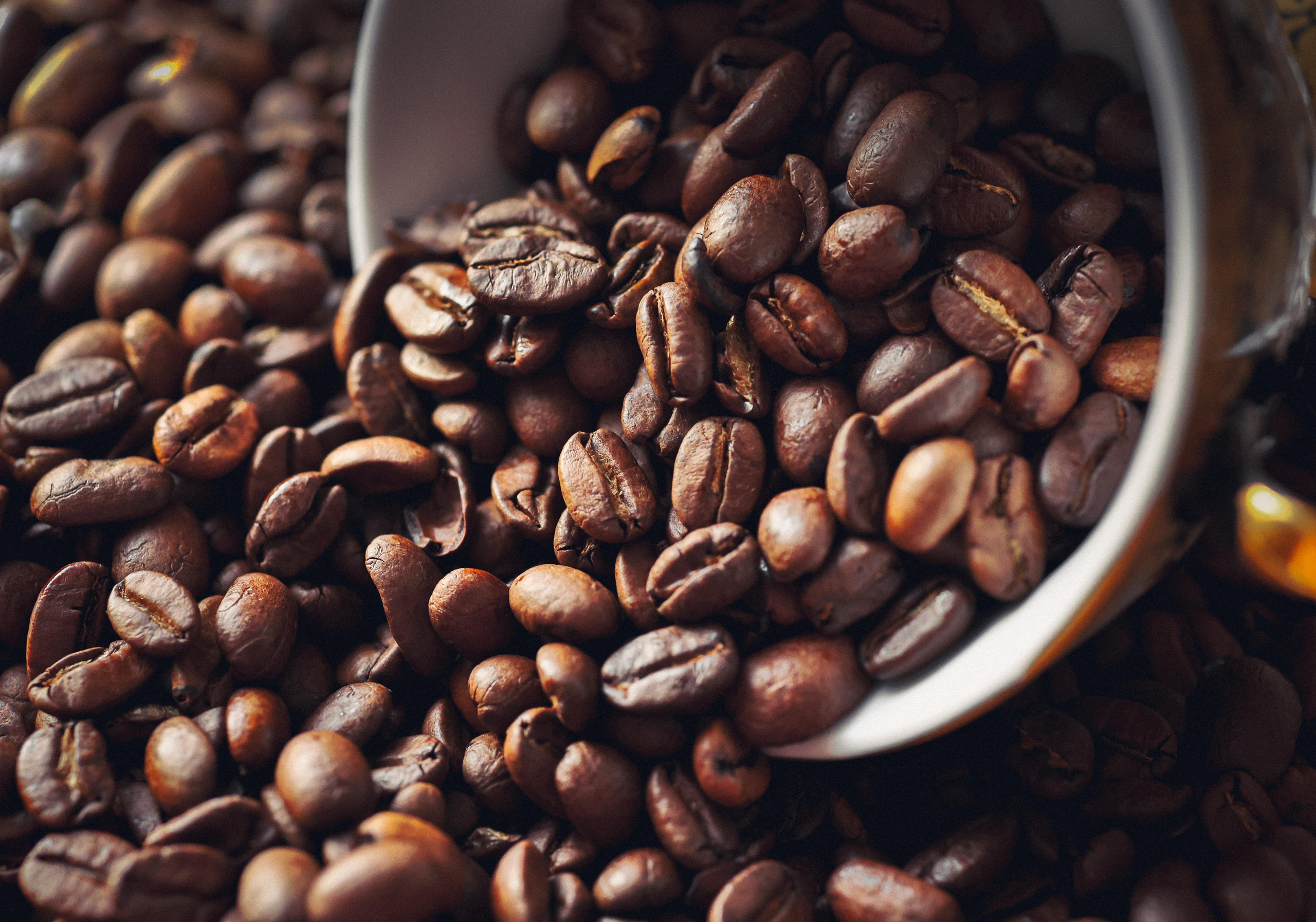 Products. Timeless Wedding & Event Photography — based London, working across Europe