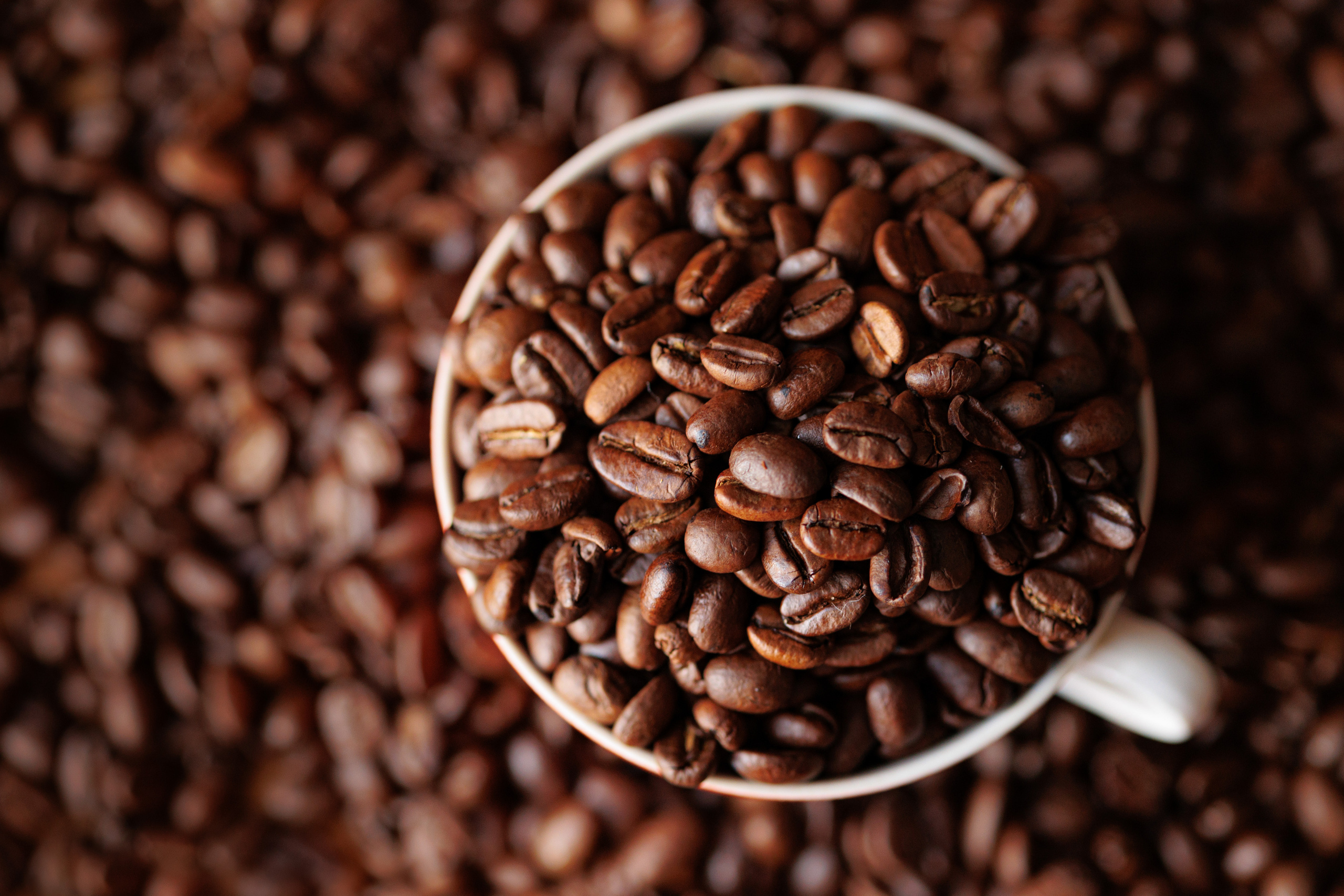 Products. Timeless Wedding & Event Photography — based London, working across Europe