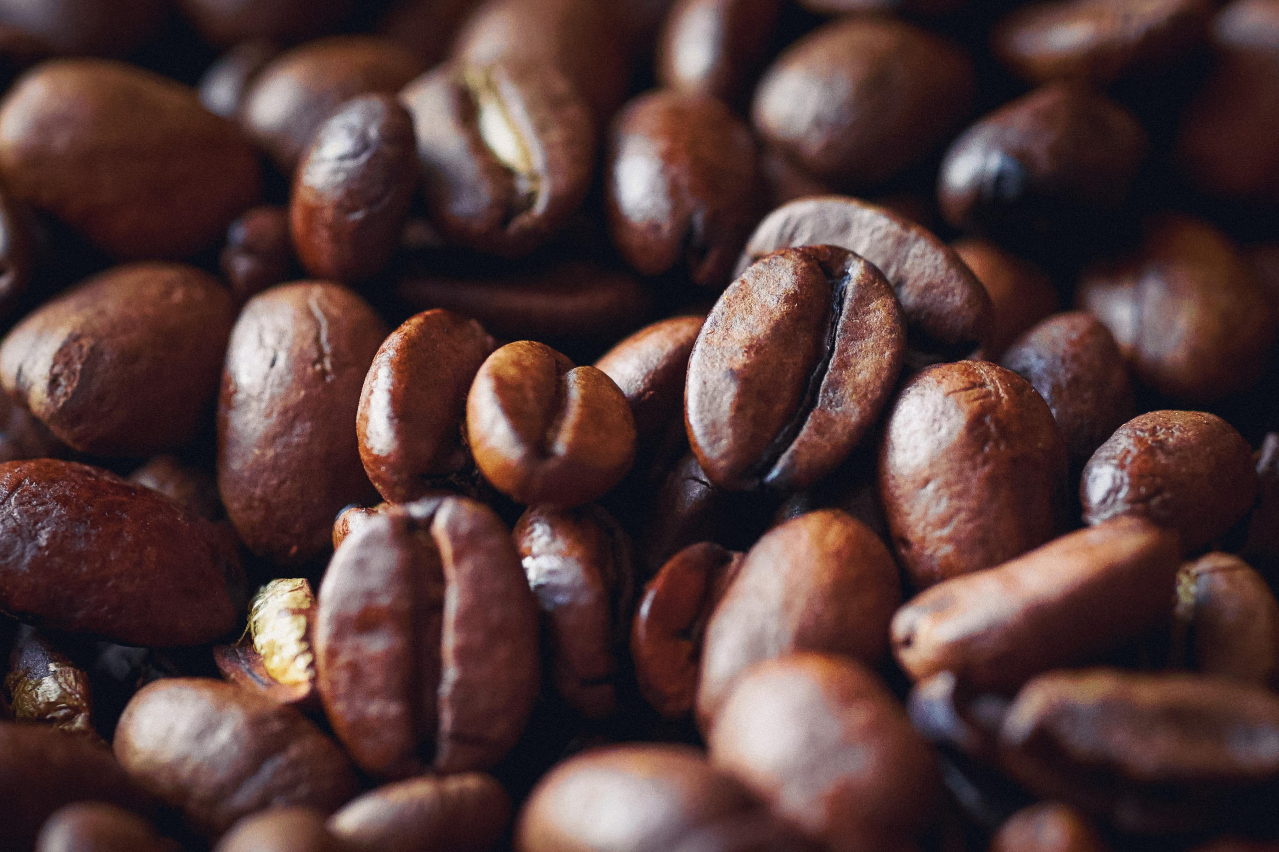 Products. Timeless Wedding & Event Photography — based London, working across Europe