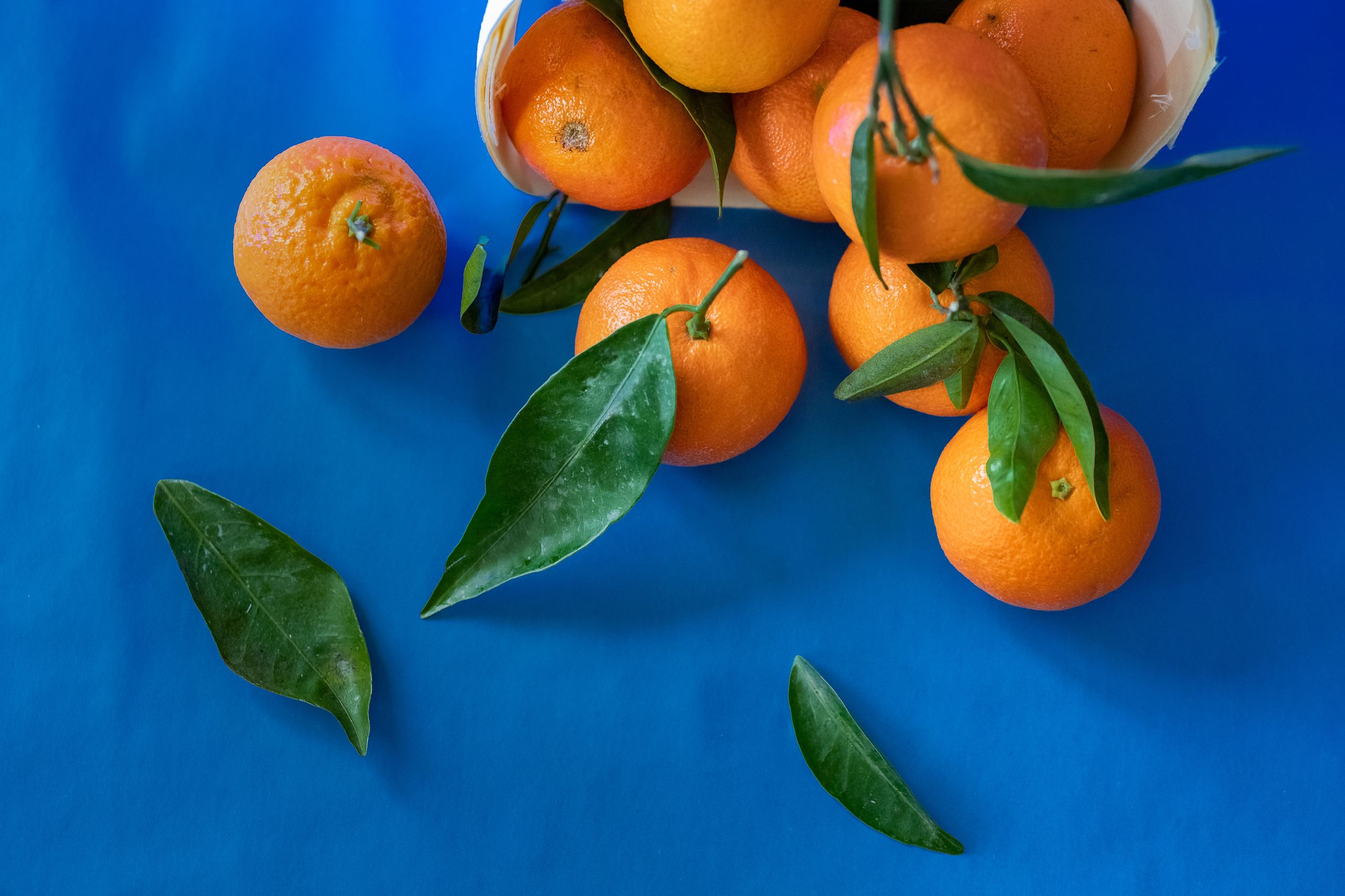 Products. Timeless Wedding & Event Photography — based London, working across Europe